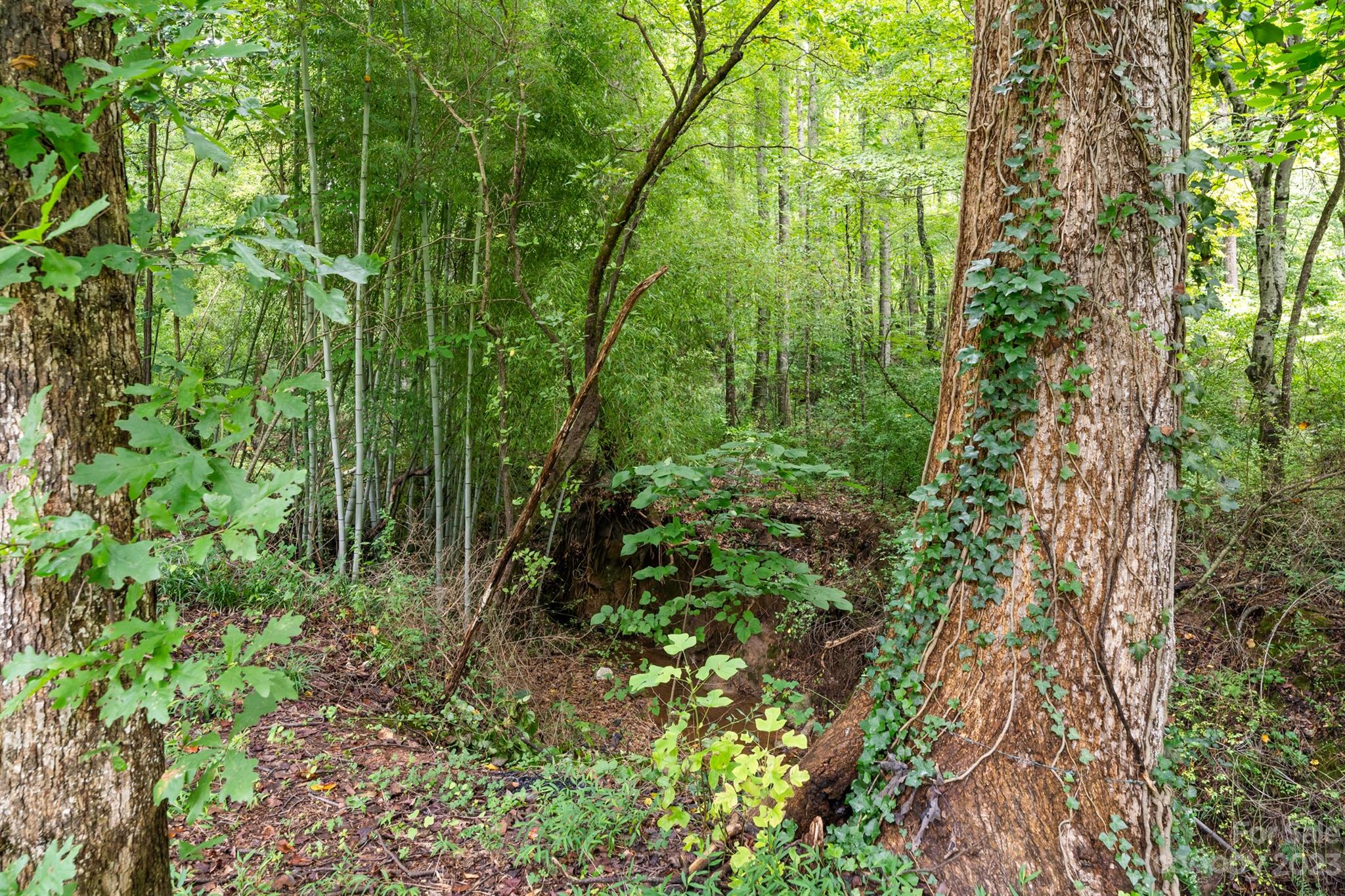 Carlin Acres - Residential