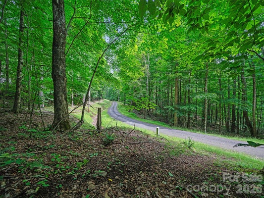 44 SHADY LN, MARS HILL, NC 28754 - Image 761d6348f0d8d5531628bfce04e094e3/4184430436