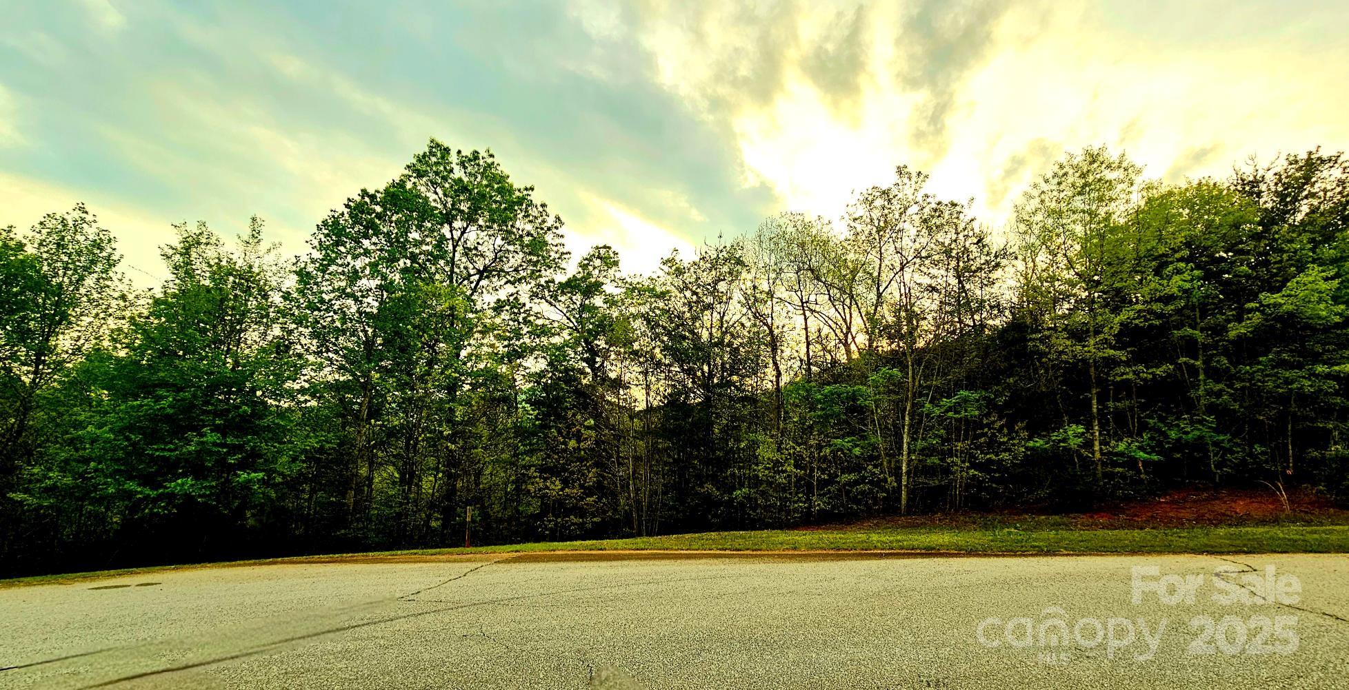 Lot 59 Bear Cliff Way