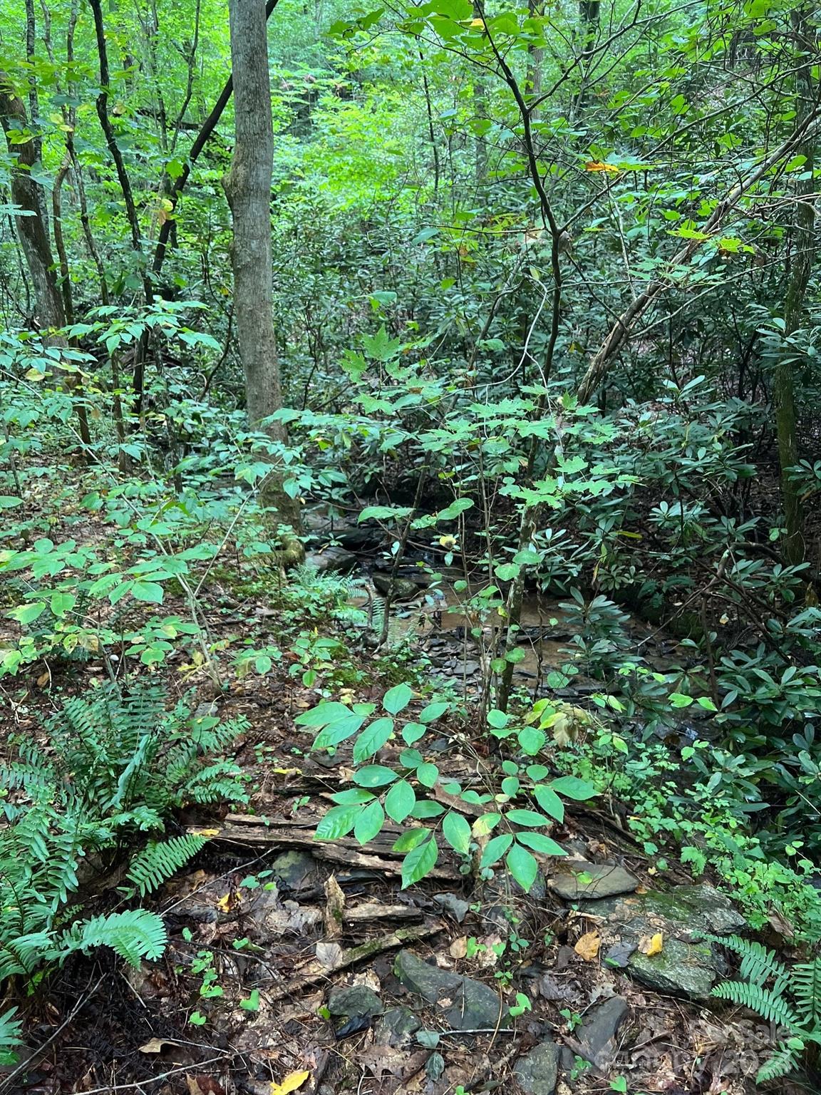 645 Tunnel Road 157 & 158