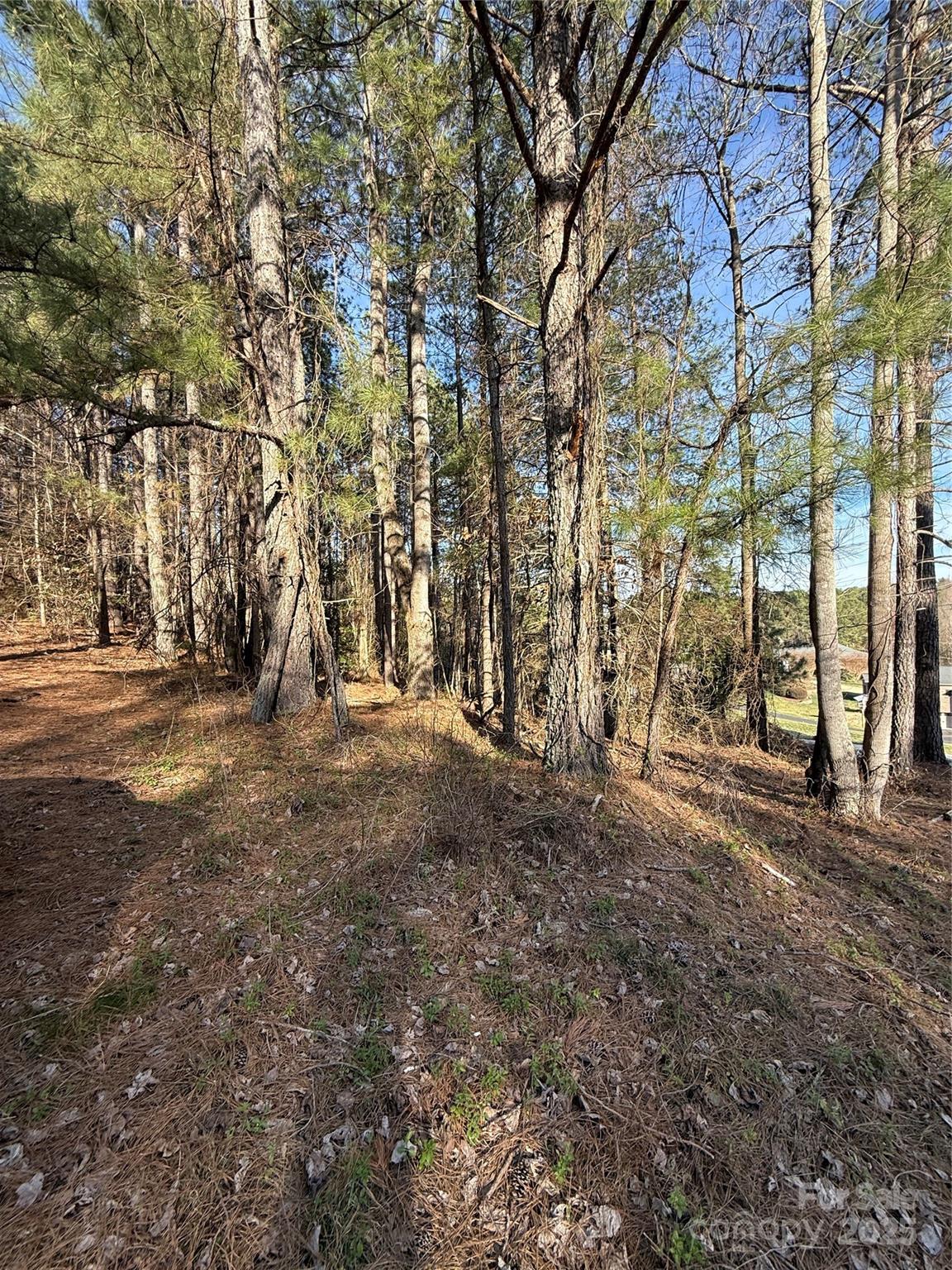 Silver Creek Estates - Land