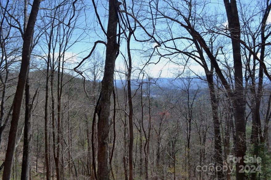 Mountain lot conveniently located to downtown Asheville and the Blue Ridge Parkway. This lot adjoins Town Mountain Road and offers the possibility of long and short range views. Southern exposure