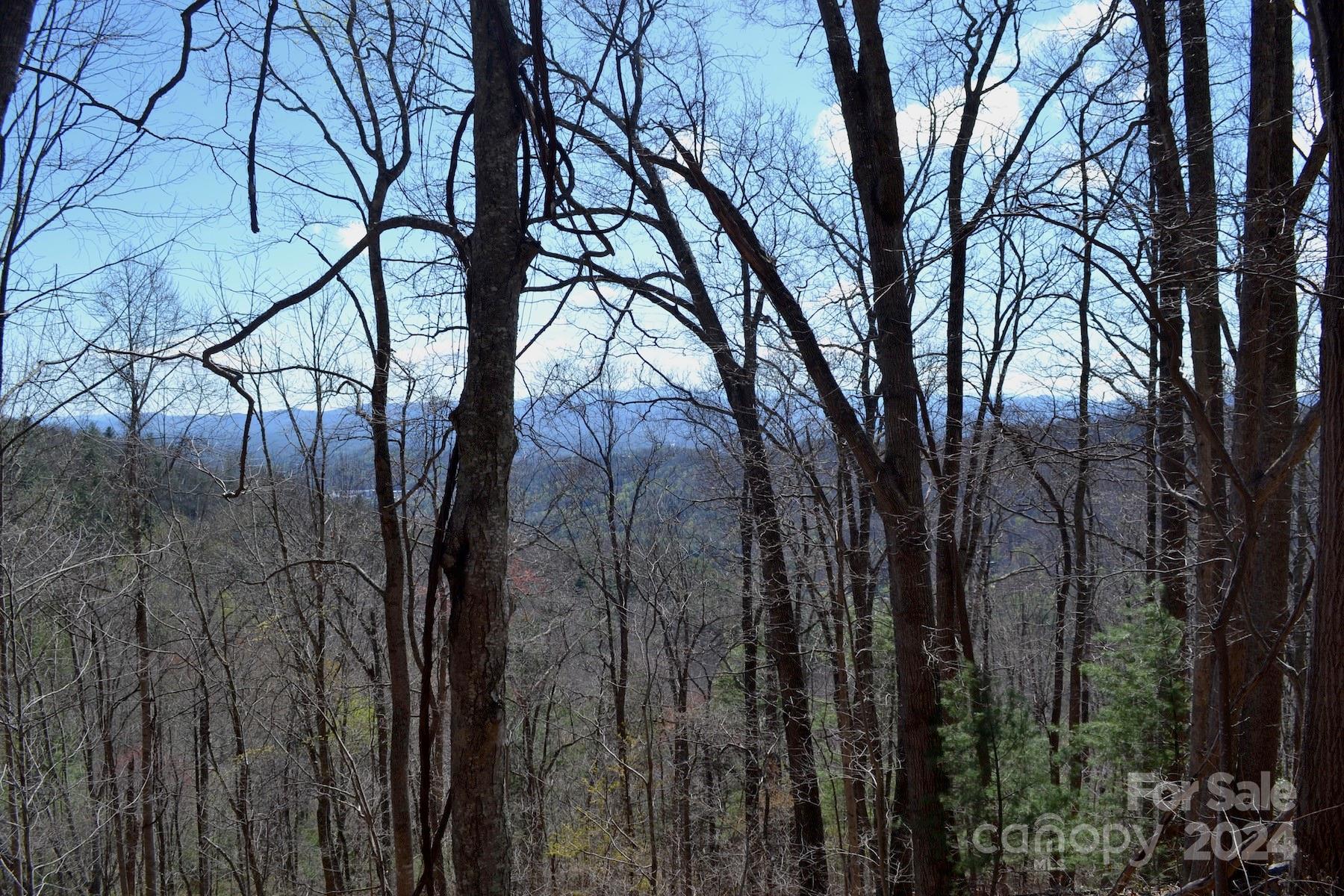 Lot 9 Town Mountain Road