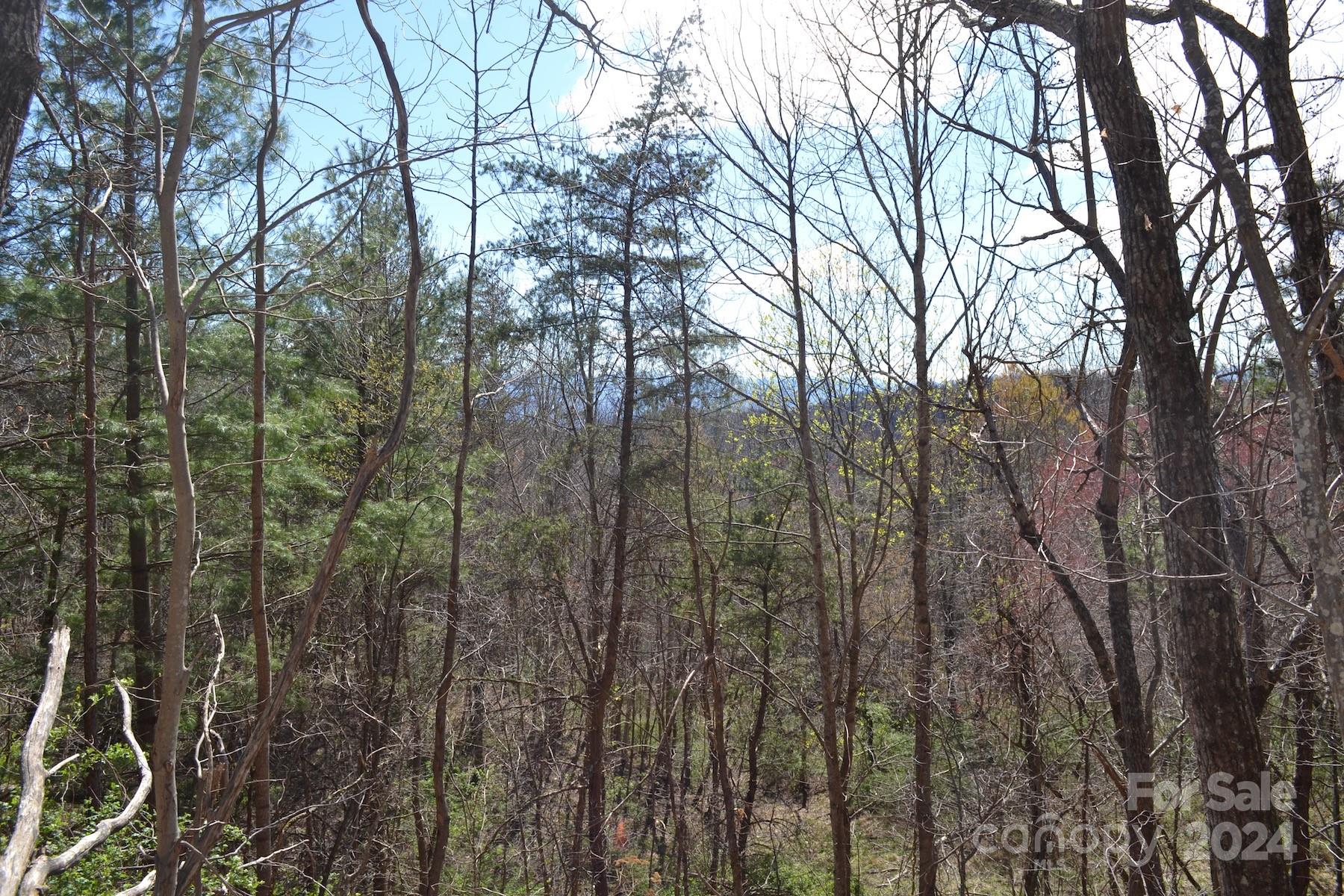 Lot 9 Town Mountain Road