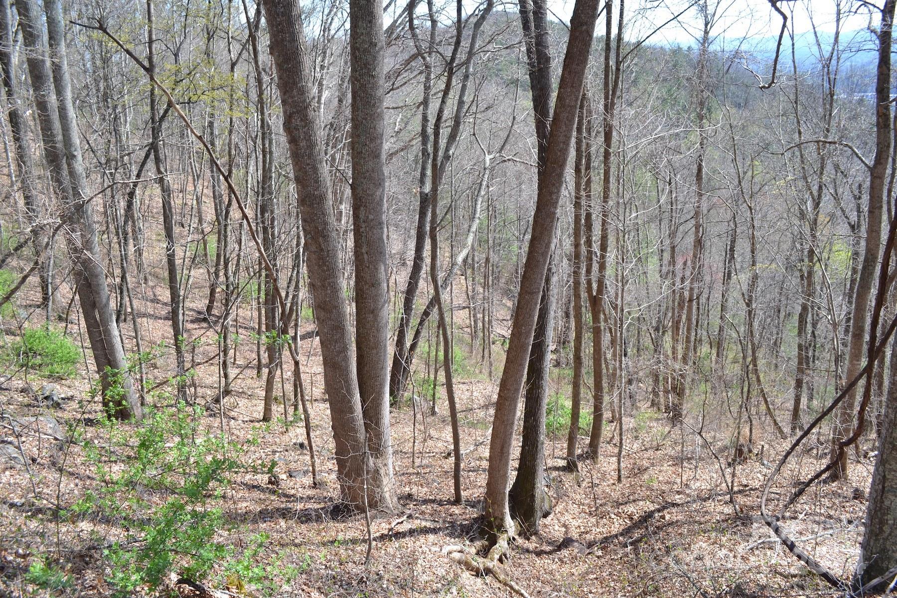 Lot 9 Town Mountain Road