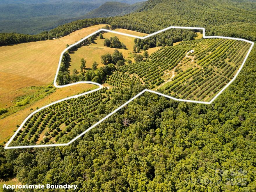 Here is a rare opportunity to own a collective 64.84 acres in Henderson County.  These beautiful parcels have open, fenced pastures, wooded areas with running streams, amazing long range views, a maintained apple orchard, and a natural spring reservoir.  These remote parcels are near the top of Bright's Creek Golf Resort.  A must see to appreciate the beauty.  These two tracts of land could accommodate up to 43 single family residences according to county zoning.  This would be a perfect opportunity for any developer.  The property is unrestricted and can be subdivided.  

Due to livestock on the property and locked gates, please contact the listing agent to schedule an accompanied showing. This property is on a remote, one lane, dirt road.