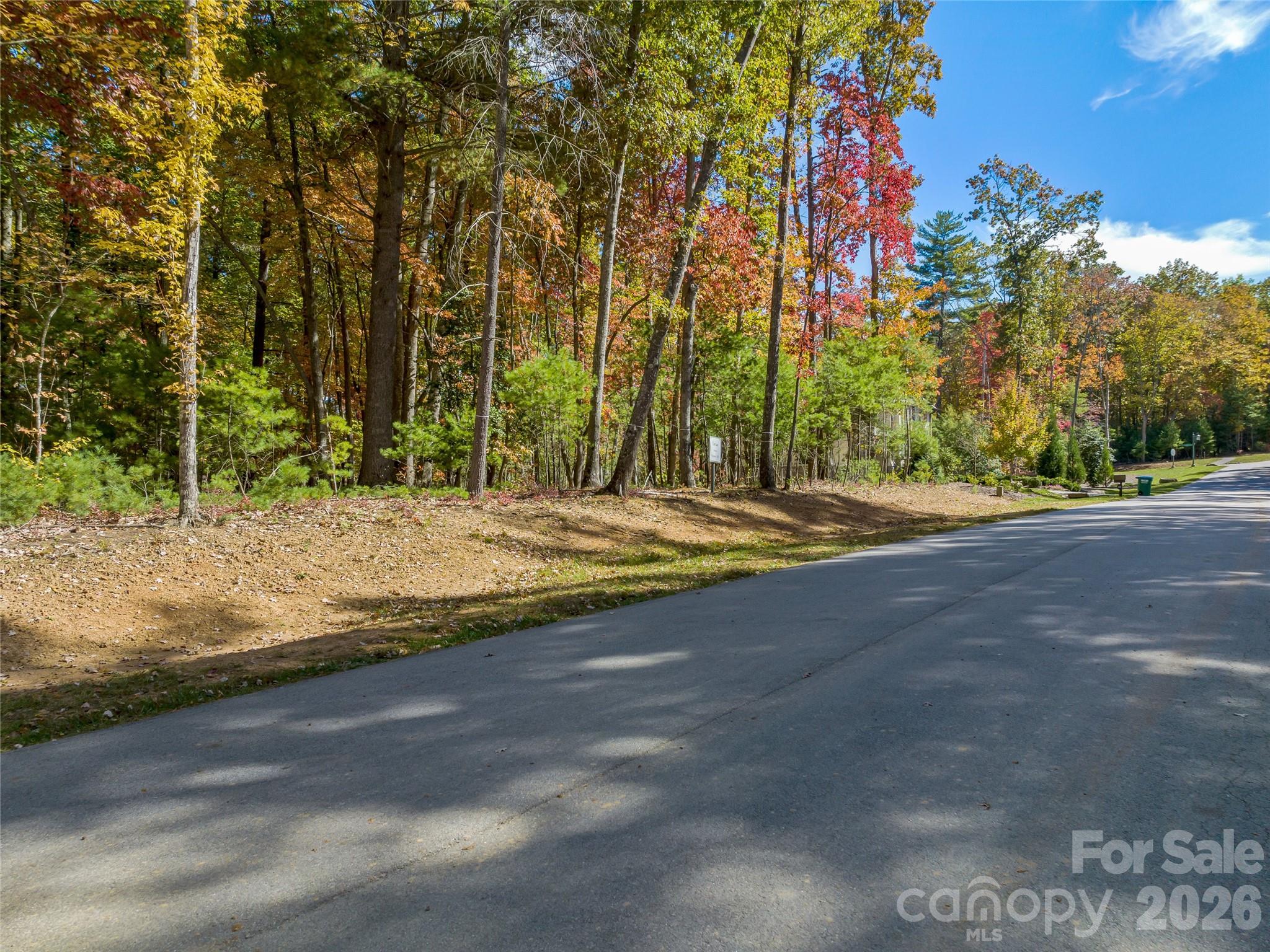 Ramble Biltmore Forest - Land