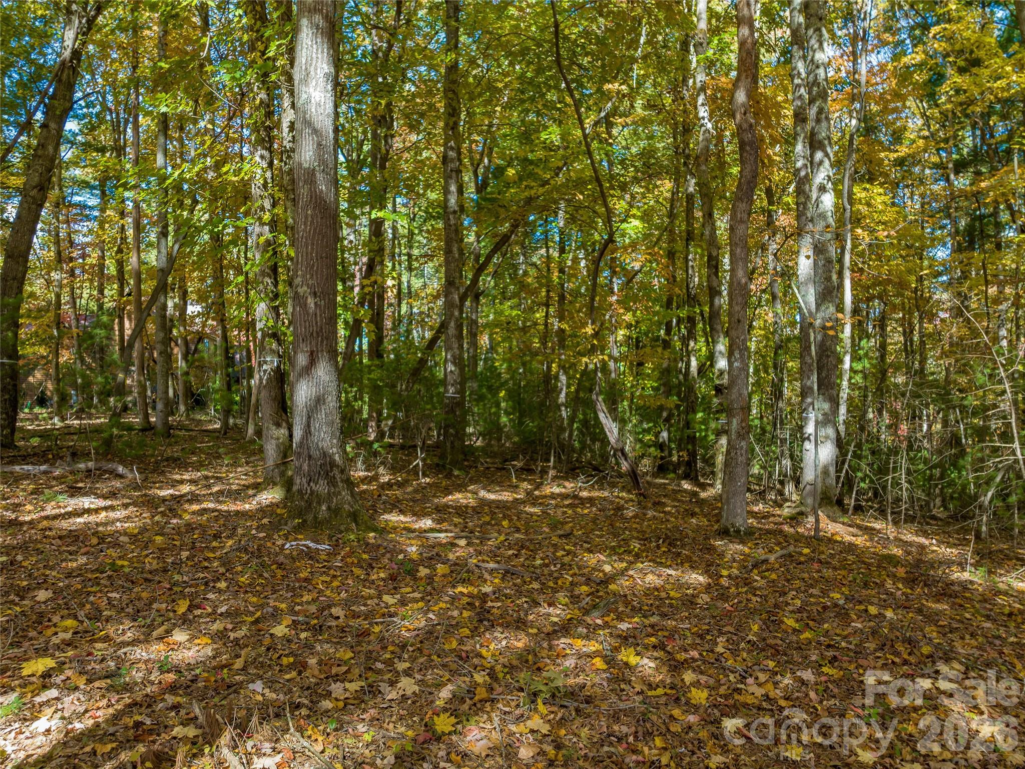 Ramble Biltmore Forest - Land