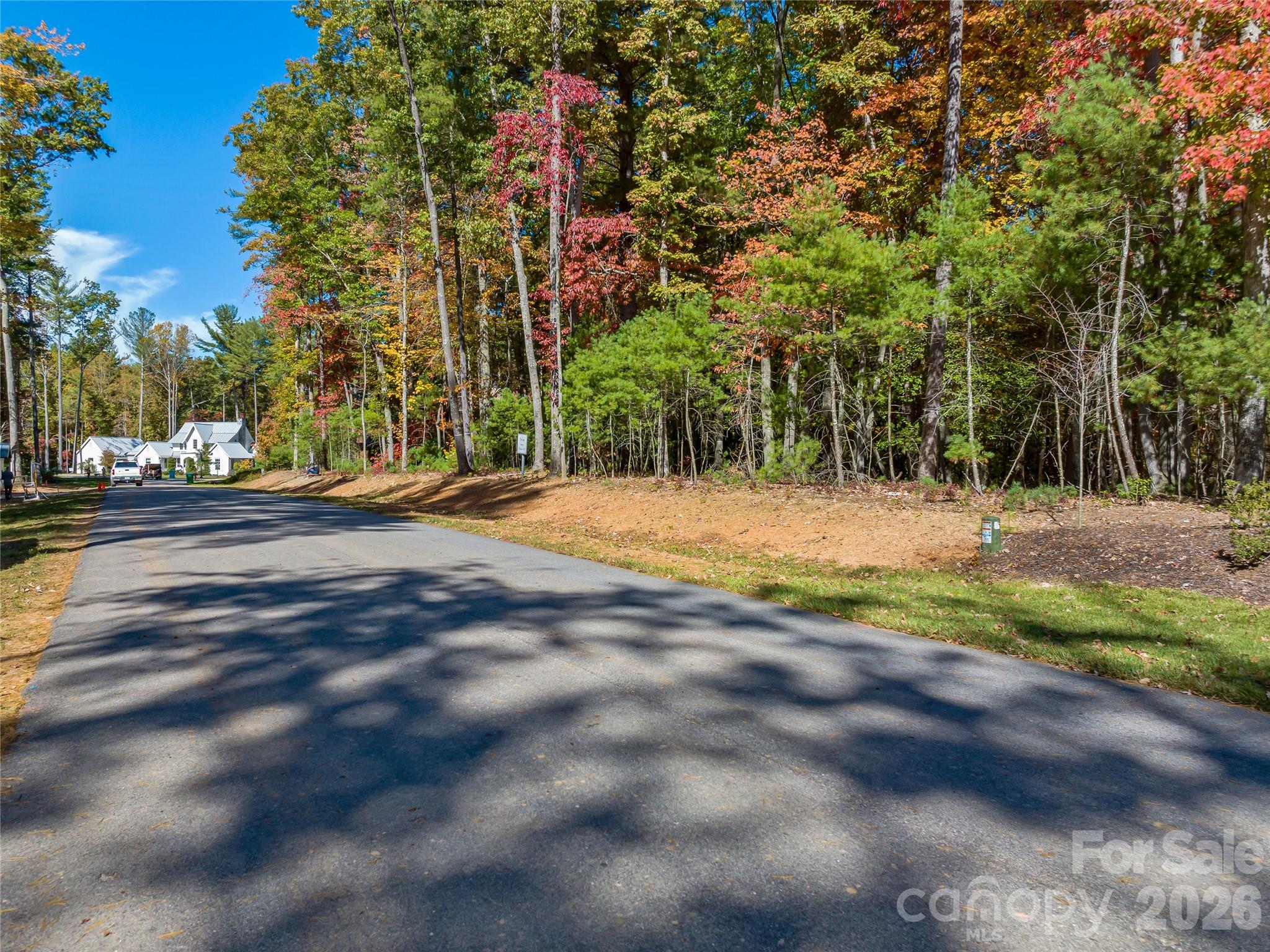 Ramble Biltmore Forest - Land