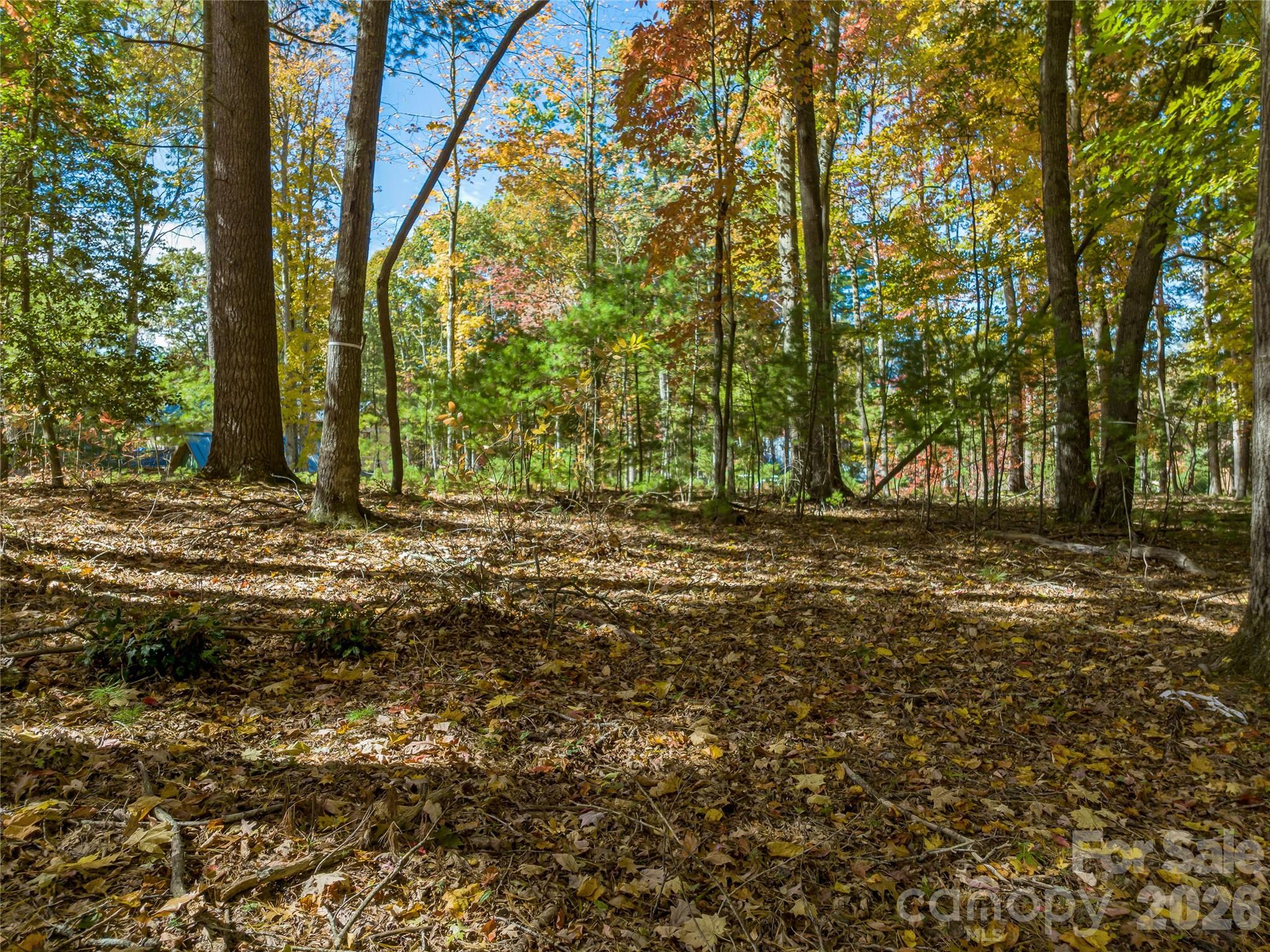 Ramble Biltmore Forest - Land