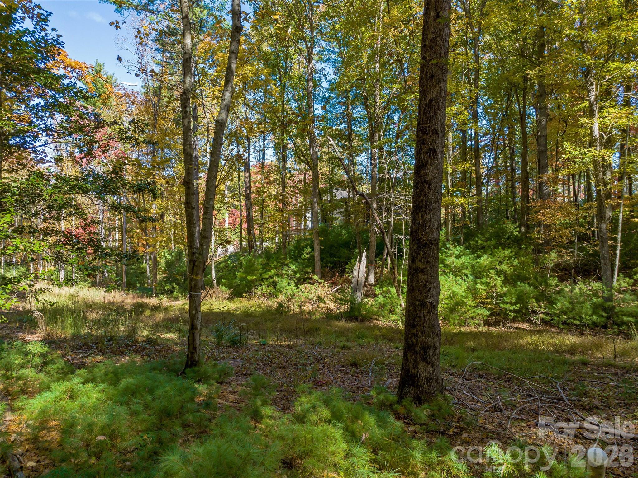 Ramble Biltmore Forest - Land