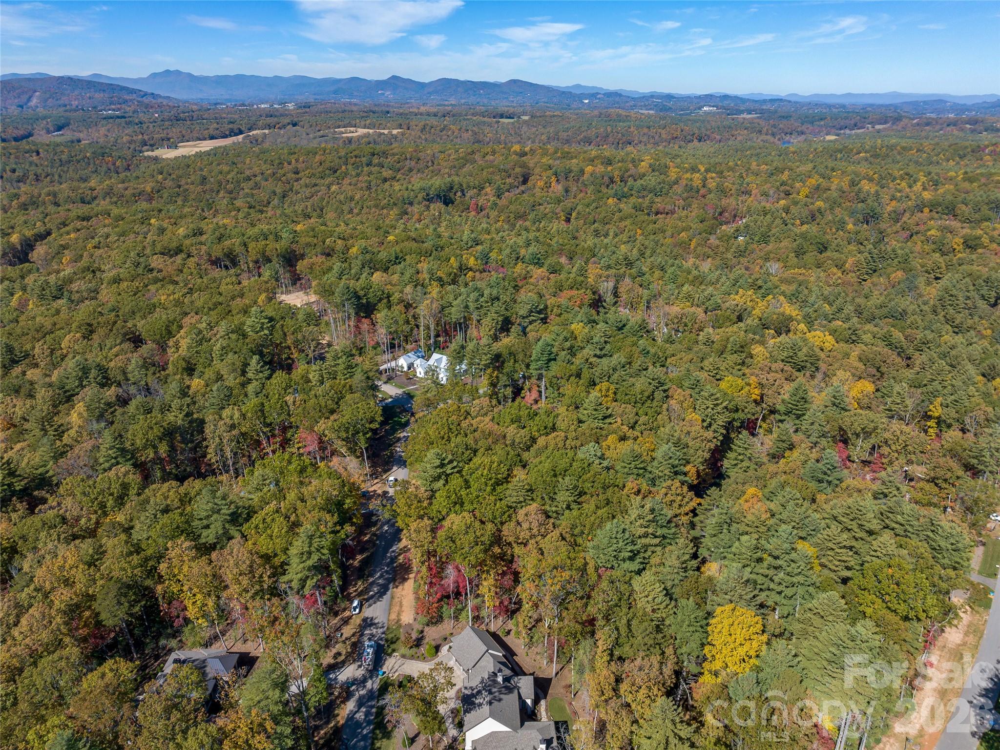 Ramble Biltmore Forest - Land