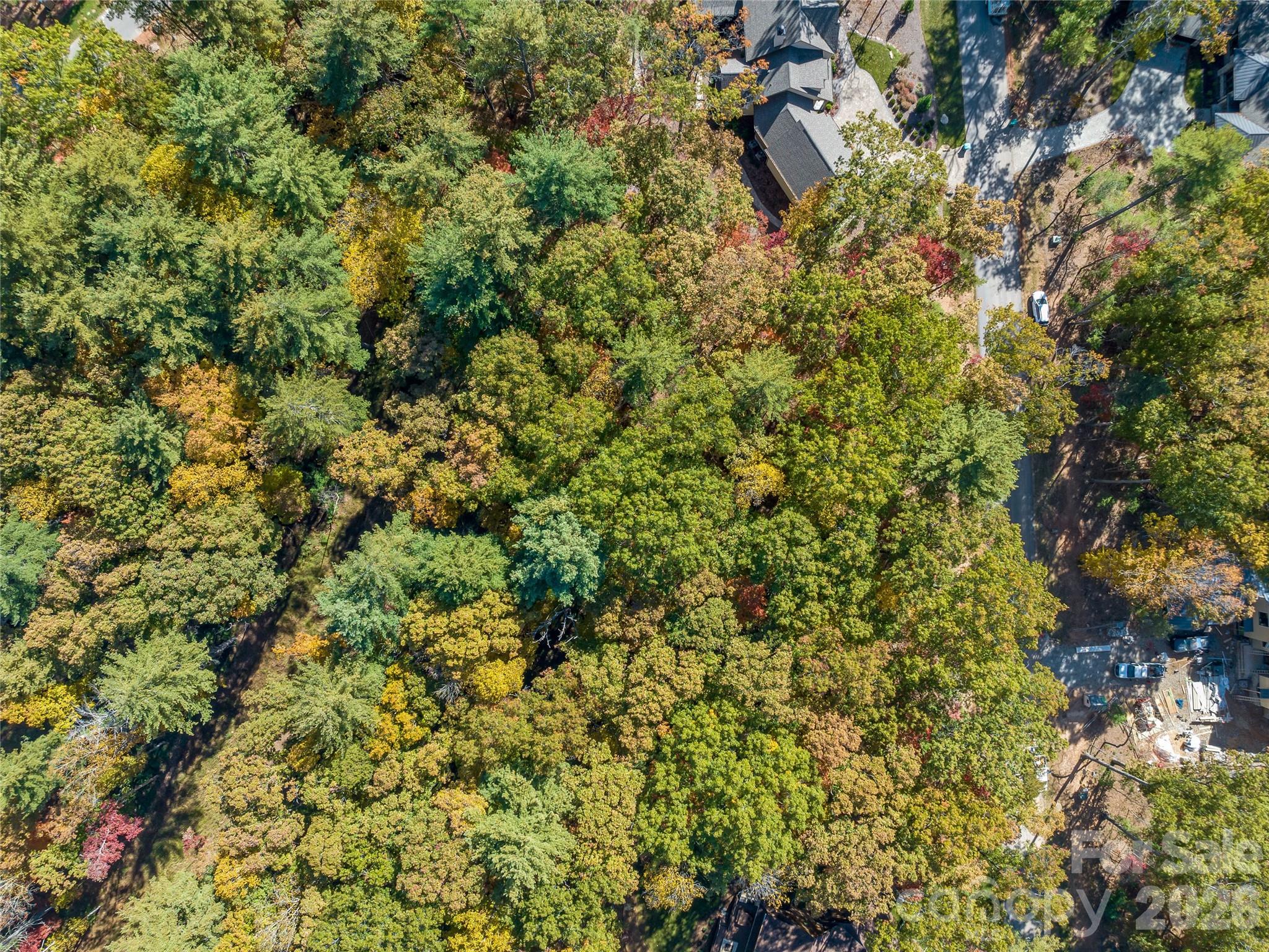 Ramble Biltmore Forest - Land