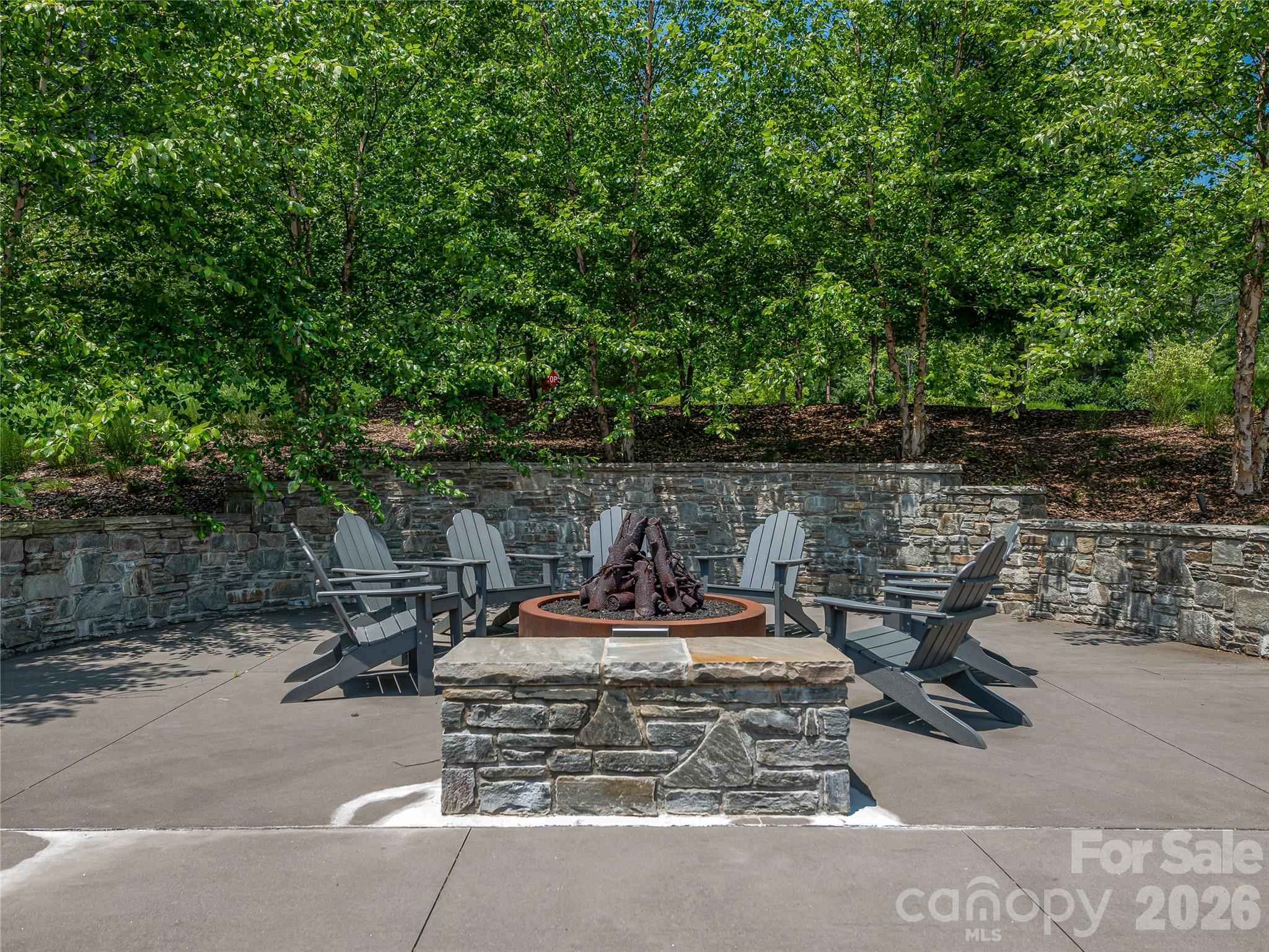 Ramble Biltmore Forest - Land