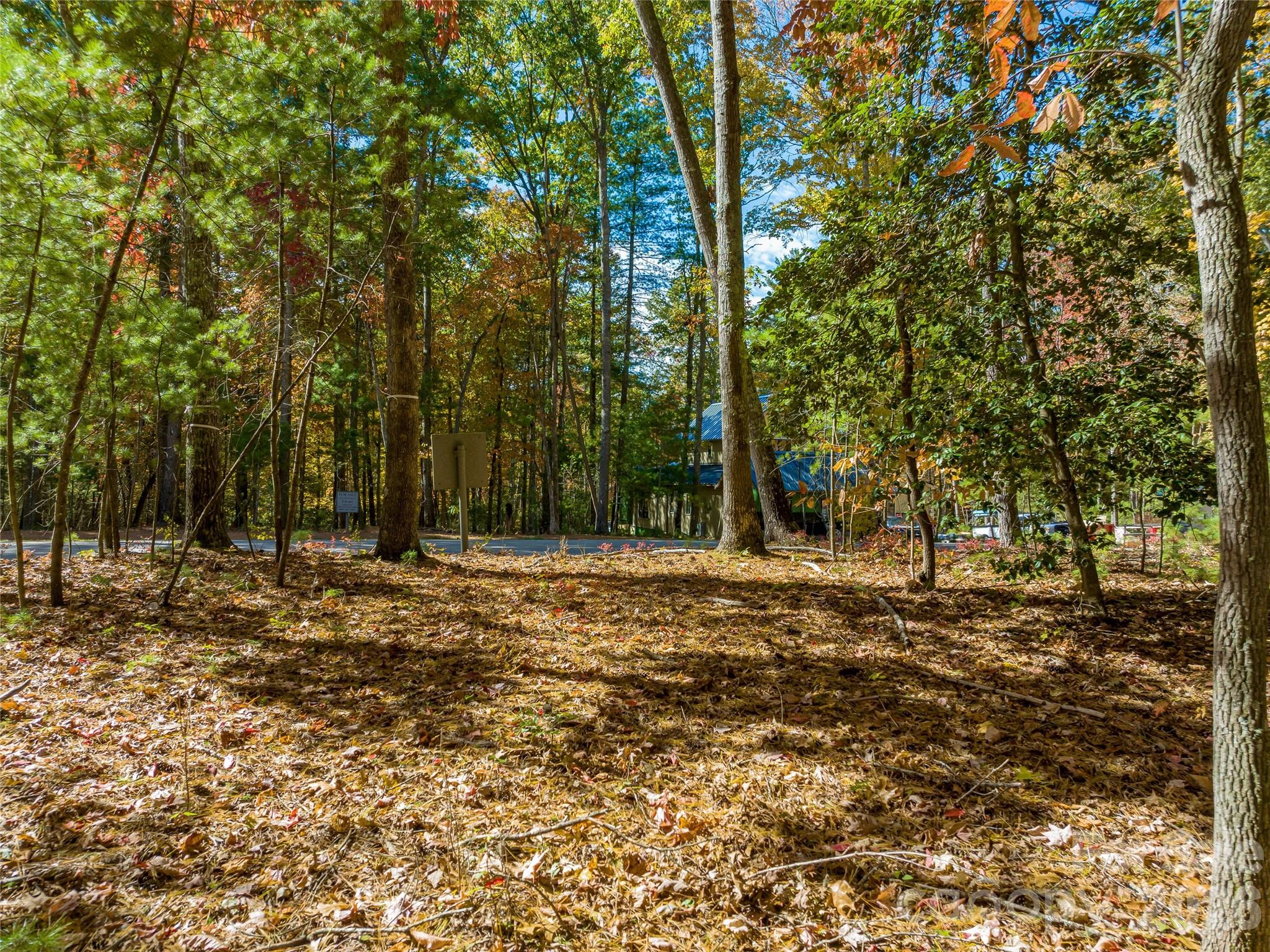 Ramble Biltmore Forest - Land