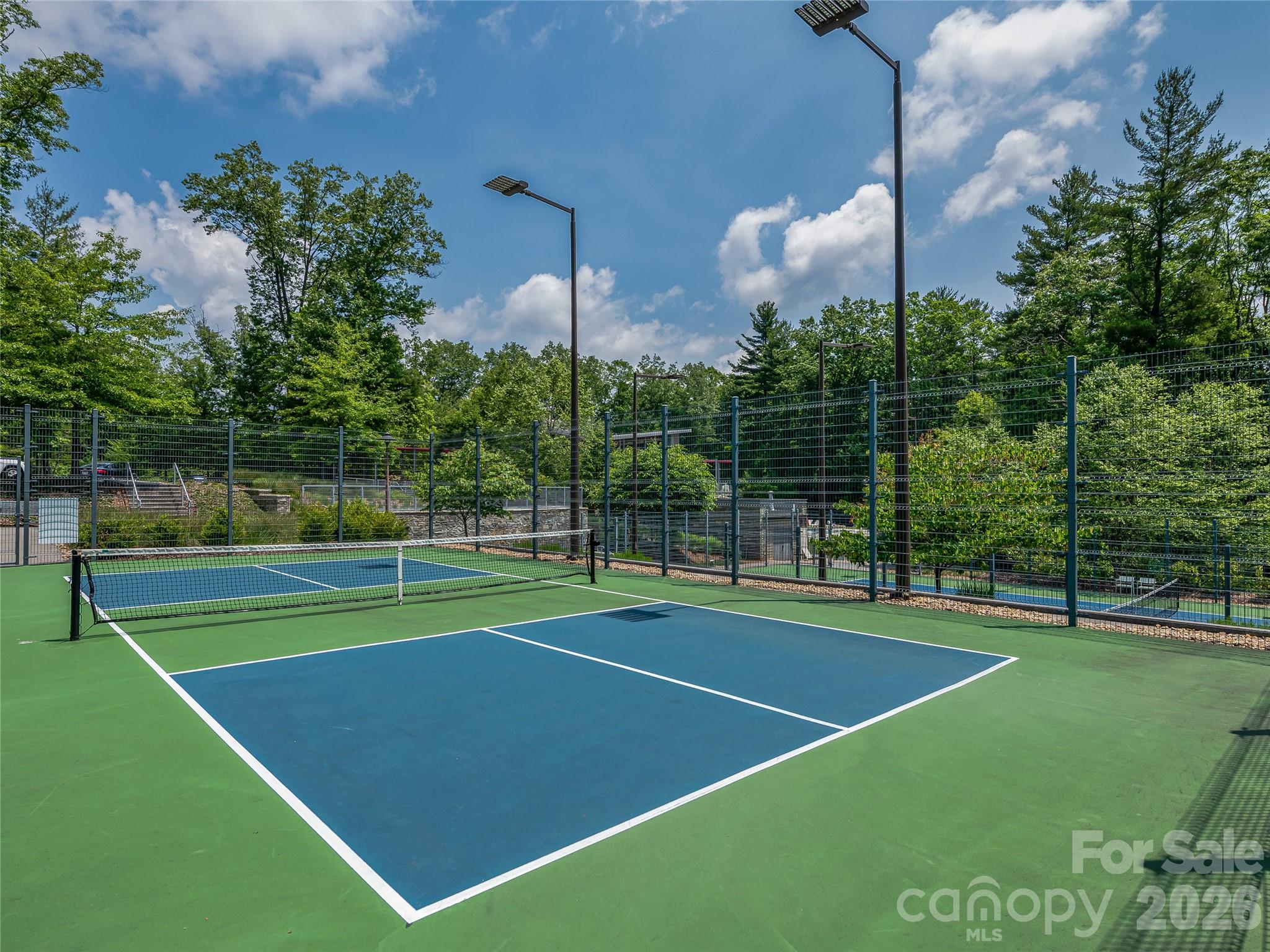 Ramble Biltmore Forest - Land