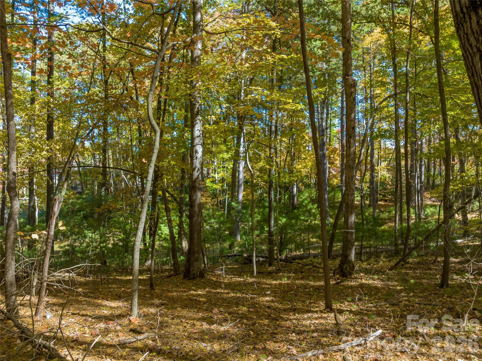 Ramble Biltmore Forest - Land