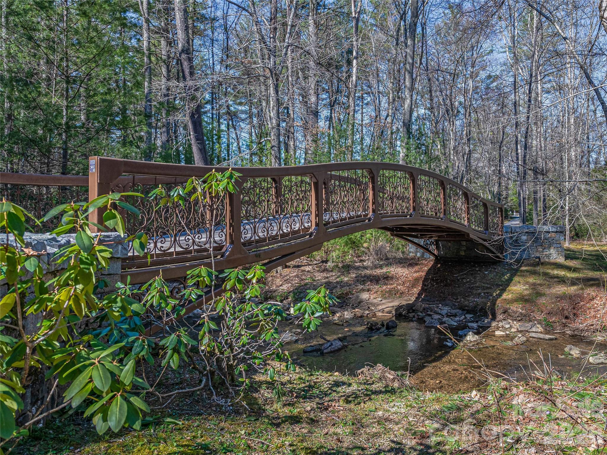 Ramble Biltmore Forest - Land