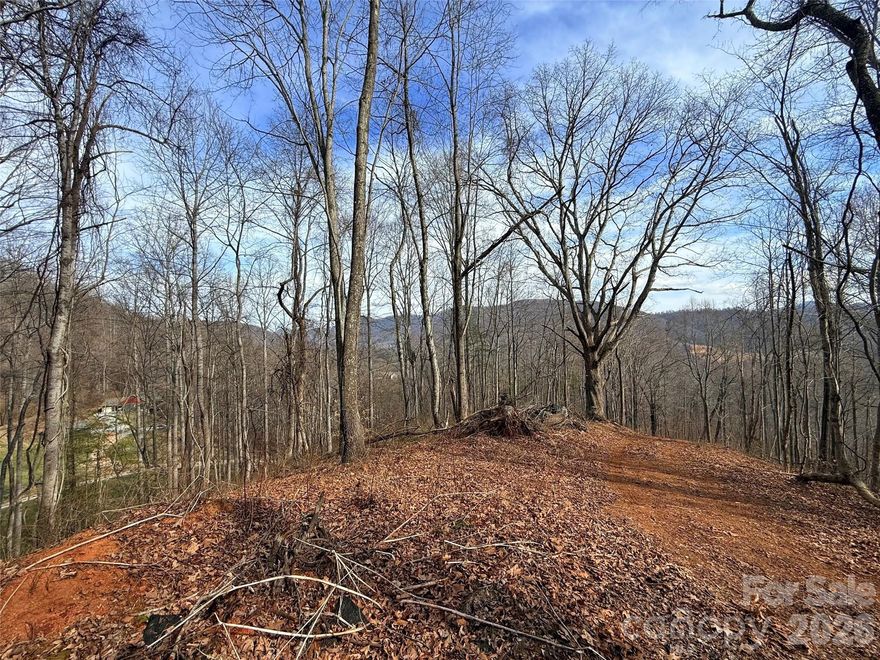 Nestled close to the Great Smoky Mountains, this 10-acre parcel offers the perfect combination of natural beauty, tranquility, and convenience. With a desirable south-facing slope, the land has incredible view potential that can be enhanced with some thoughtful clearing. This property has a 4- bedroom septic evaluation already on file, saving you time and money when planning your dream home or cabin. This location provides easy access to I-40, and is just a short drive to the vibrant cities of Asheville and Waynesville, making it ideal for those seeking peace and seclusion without sacrificing proximity to amenities, dining, shopping, and outdoor recreation.