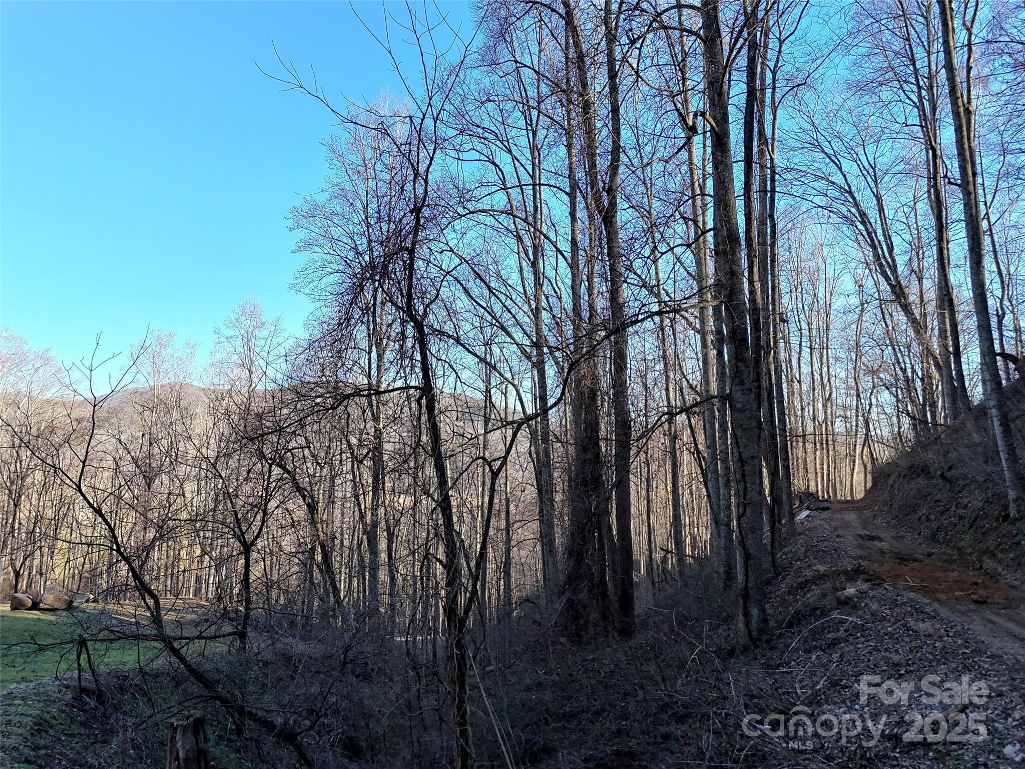 672 Porters Ridge