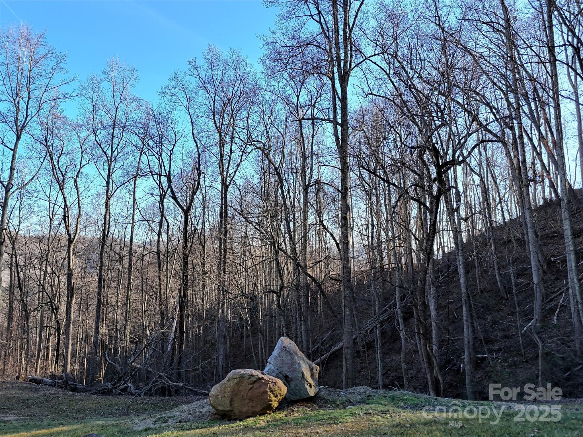 672 Porters Ridge