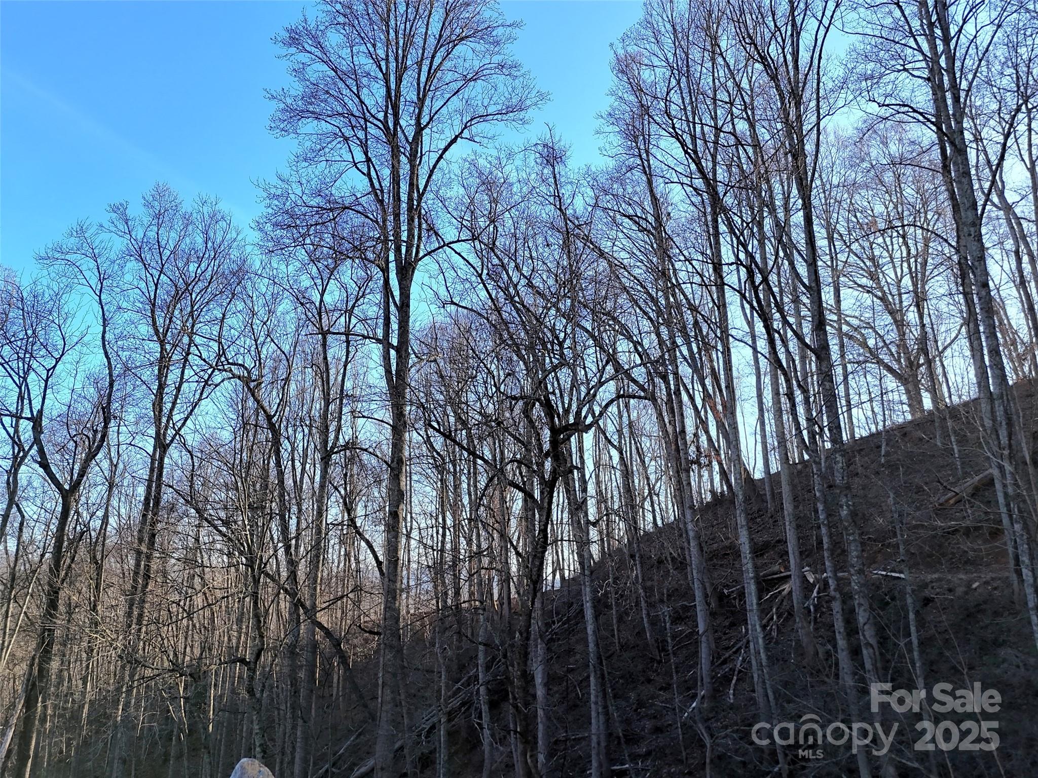 672 Porters Ridge