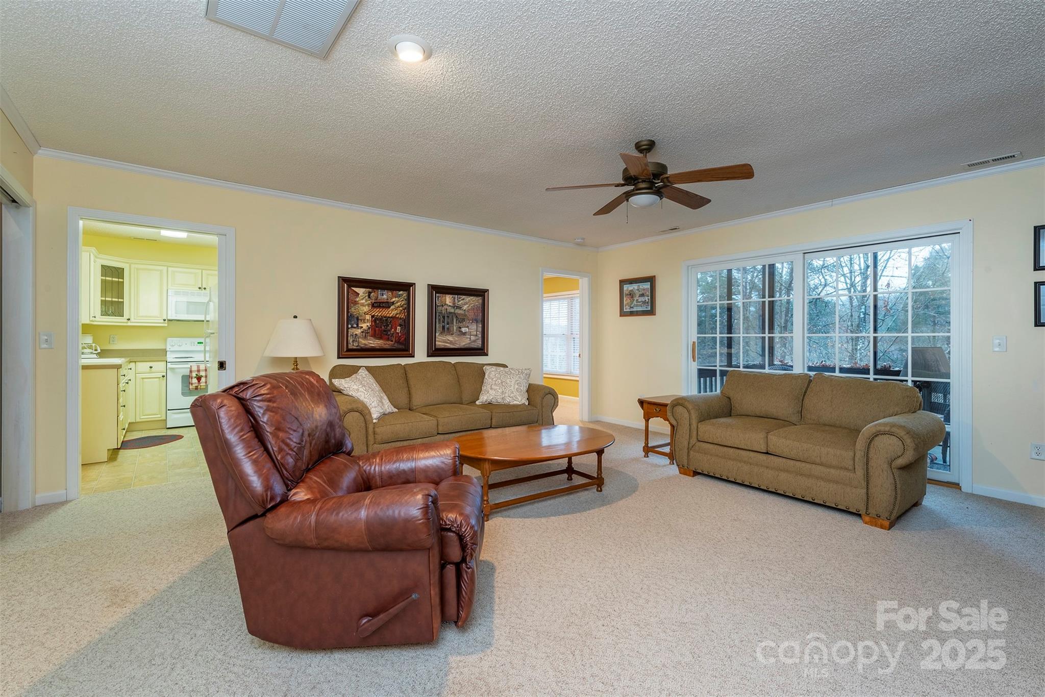 Rumbling Bald on Lake Lure - Residential