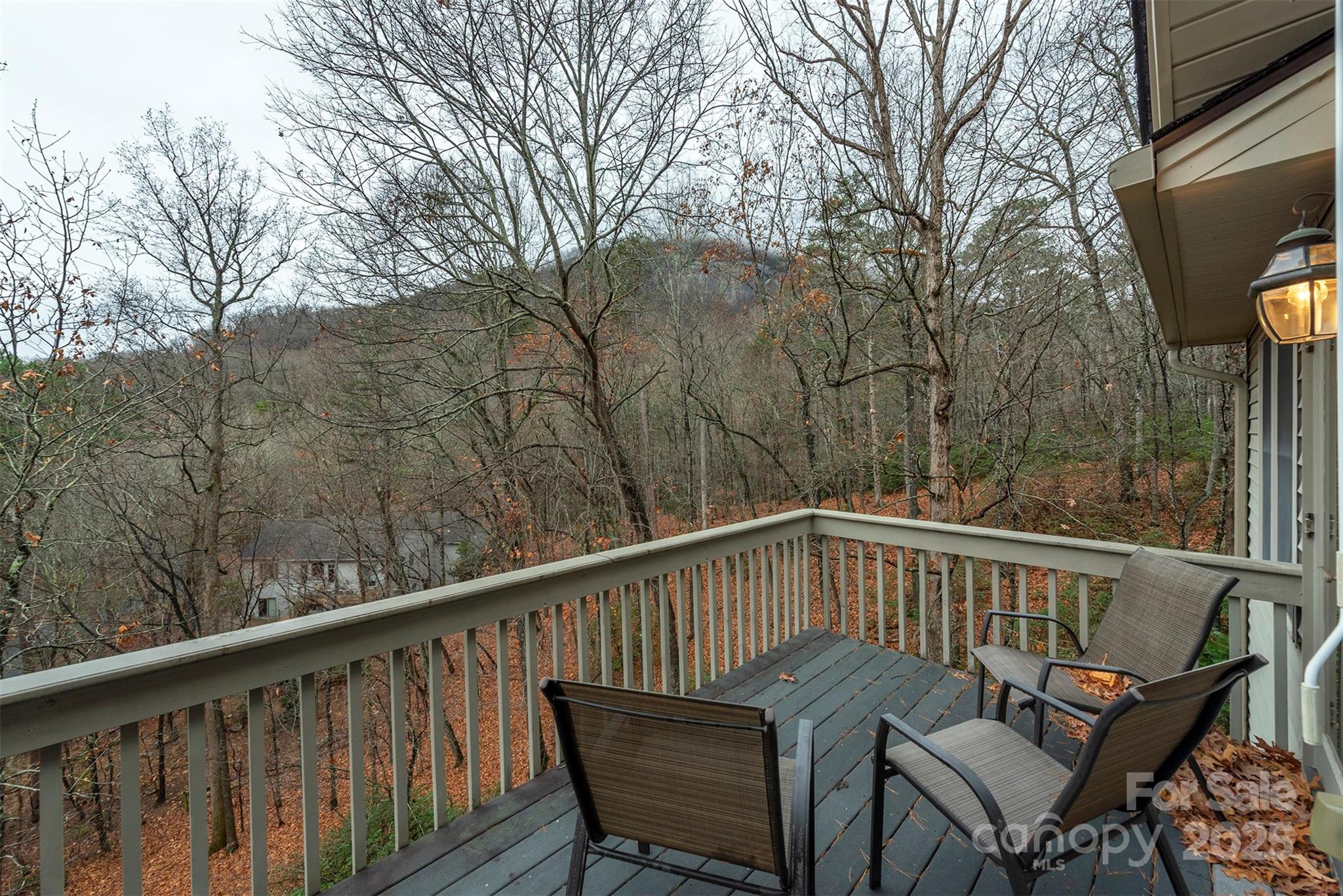 Rumbling Bald on Lake Lure - Residential