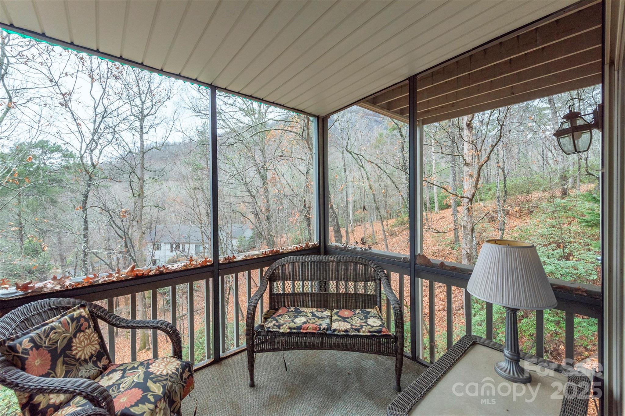 Rumbling Bald on Lake Lure - Residential