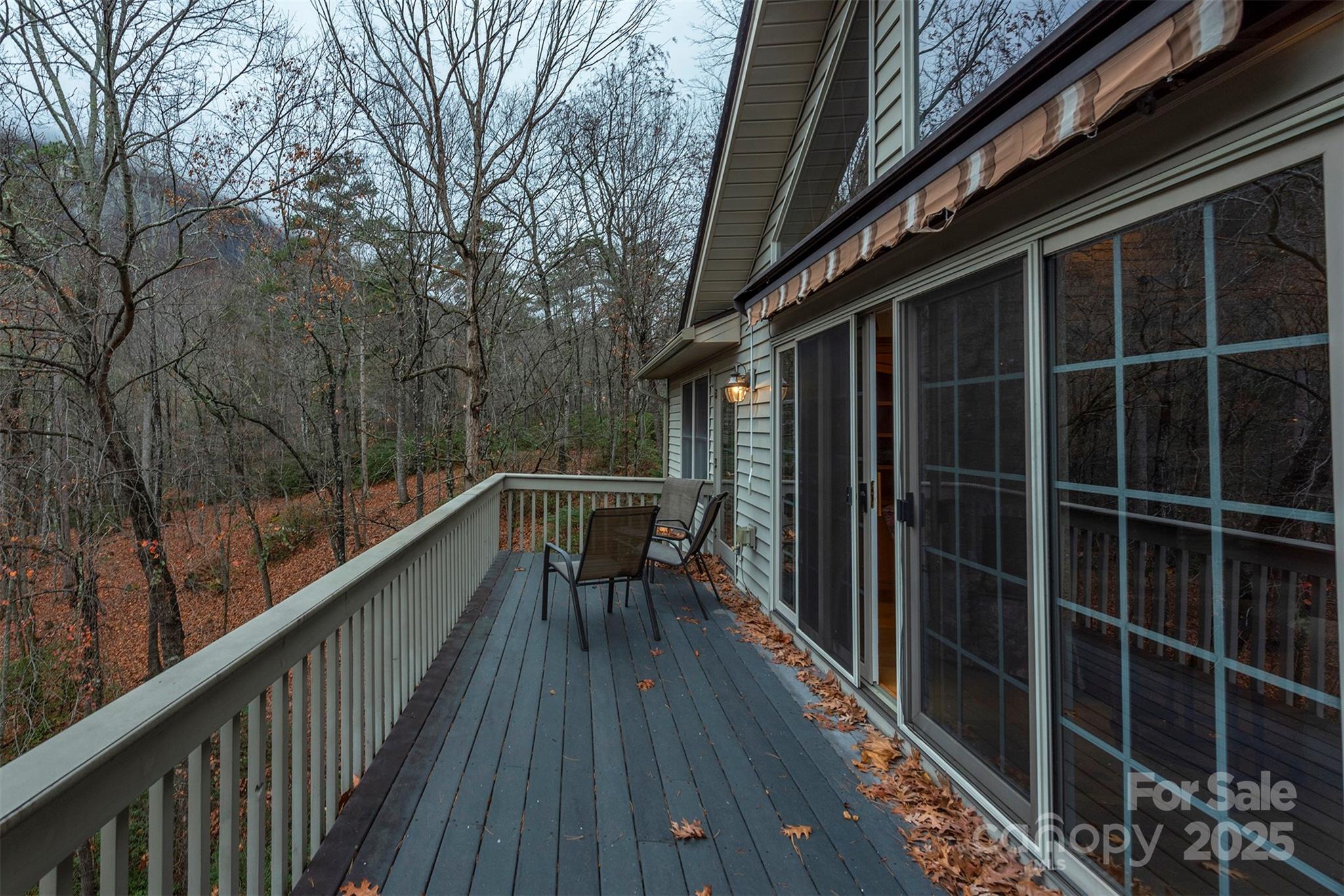 Rumbling Bald on Lake Lure - Residential