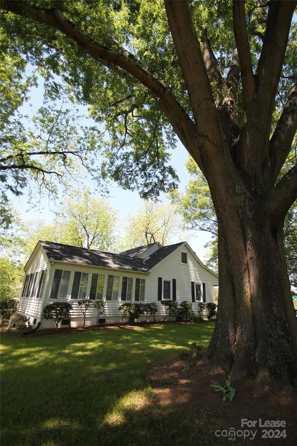 None - Residential Lease