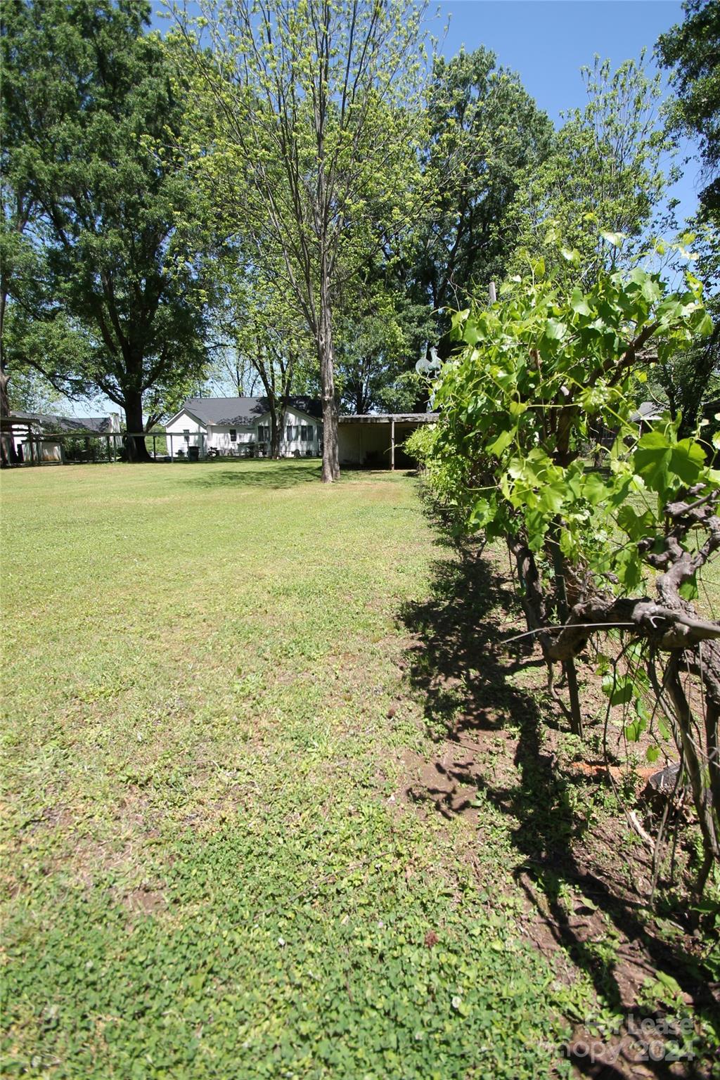 None - Residential Lease