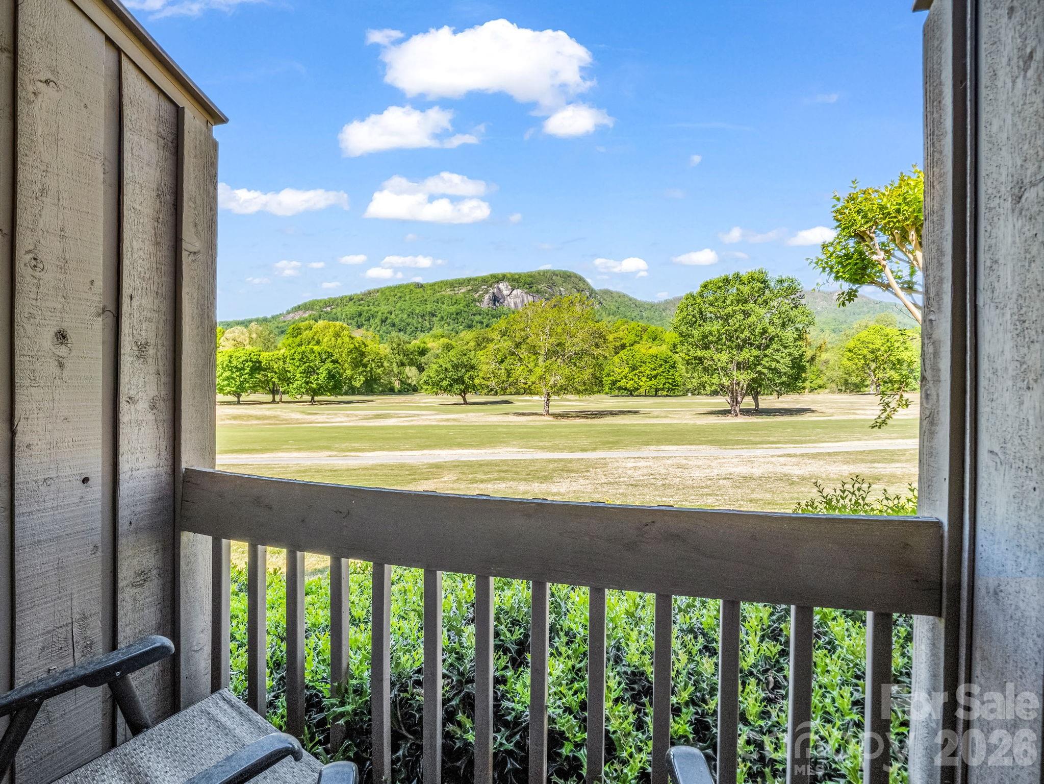 Rumbling Bald on Lake Lure - Residential