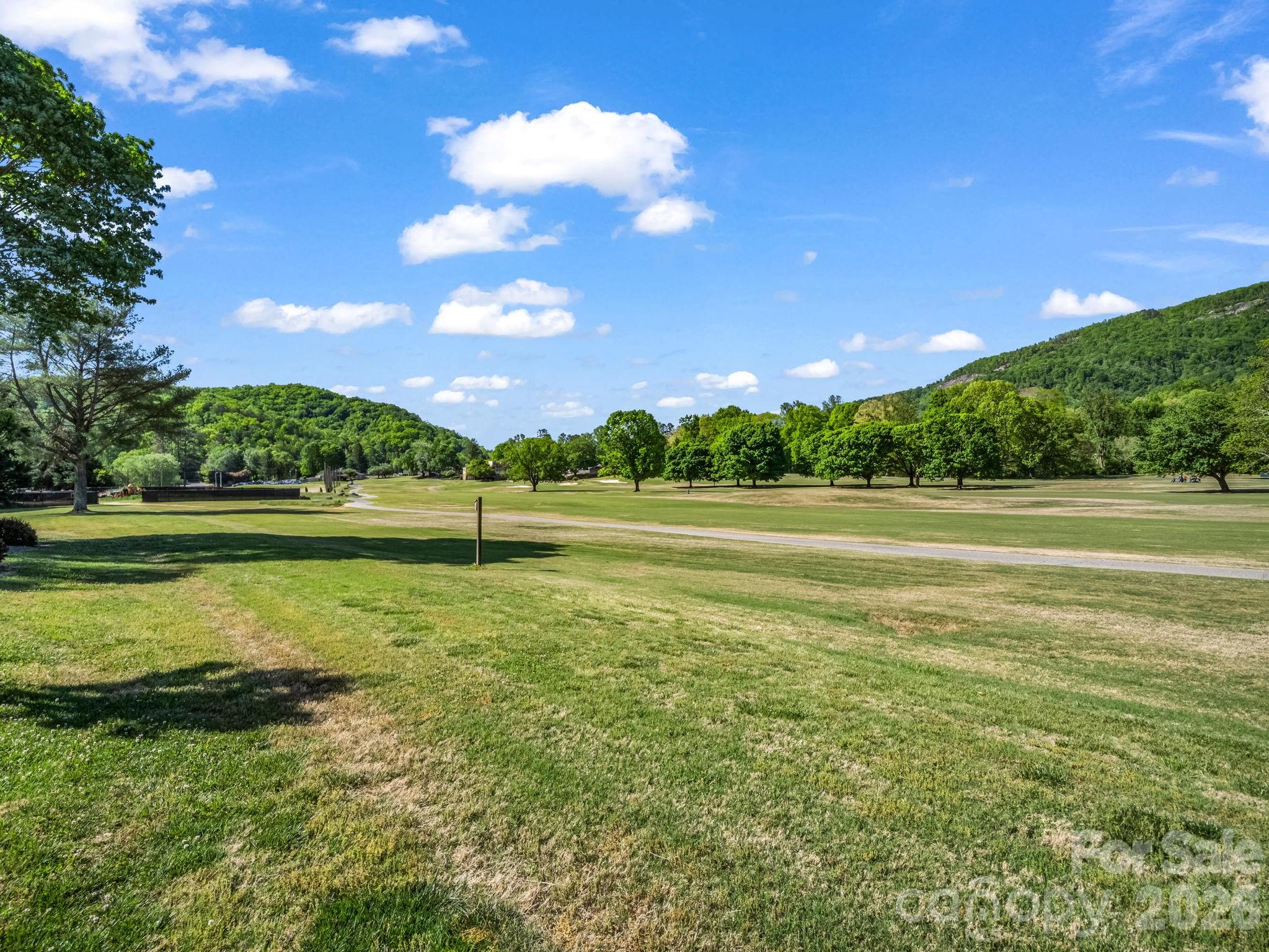 Rumbling Bald on Lake Lure - Residential