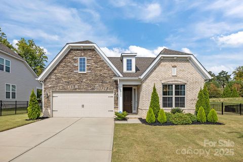 Photo of 12009 Blue Gull Court, Charlotte, NC 28278 (MLS # 4309098)