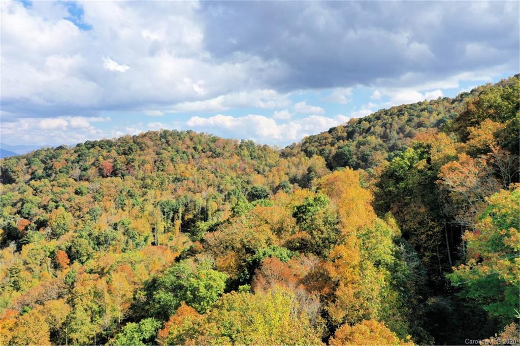 VL74 Mountain Forest Estates None