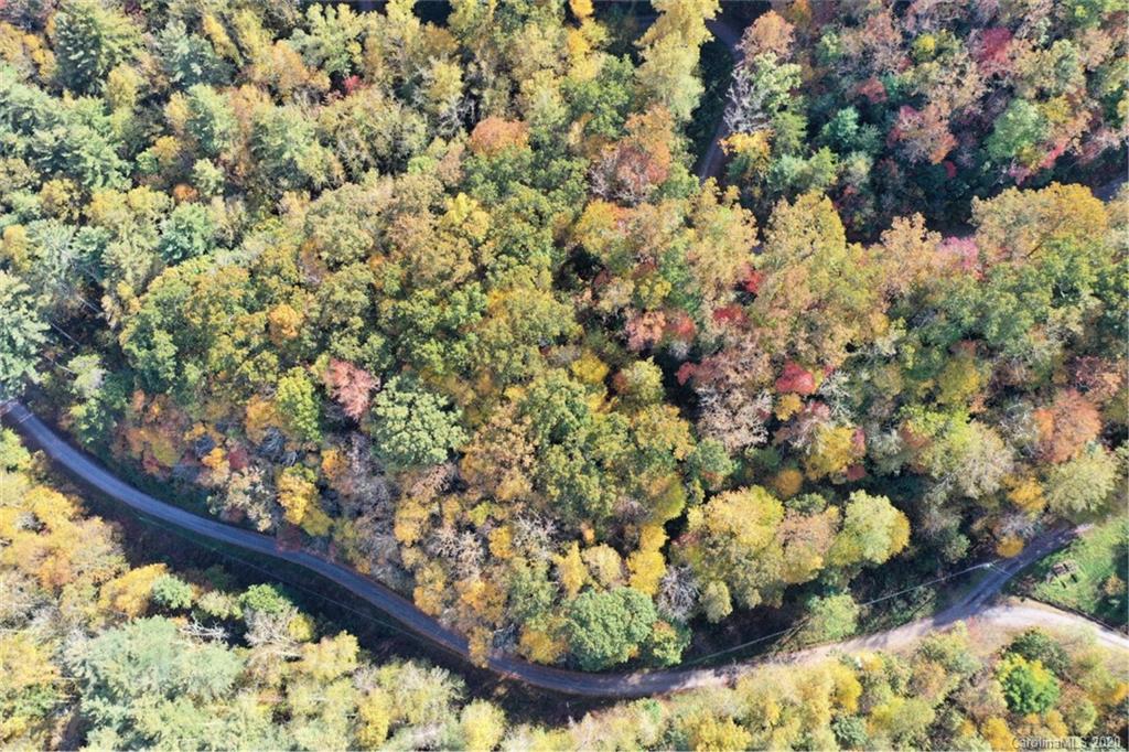 VL74 Mountain Forest Estates None