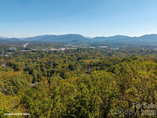 421 RESERVOIR RD, ASHEVILLE, NC 28803 - Image 76659ea12b4d784ee4bfe7ab2b2fe979/2370270668