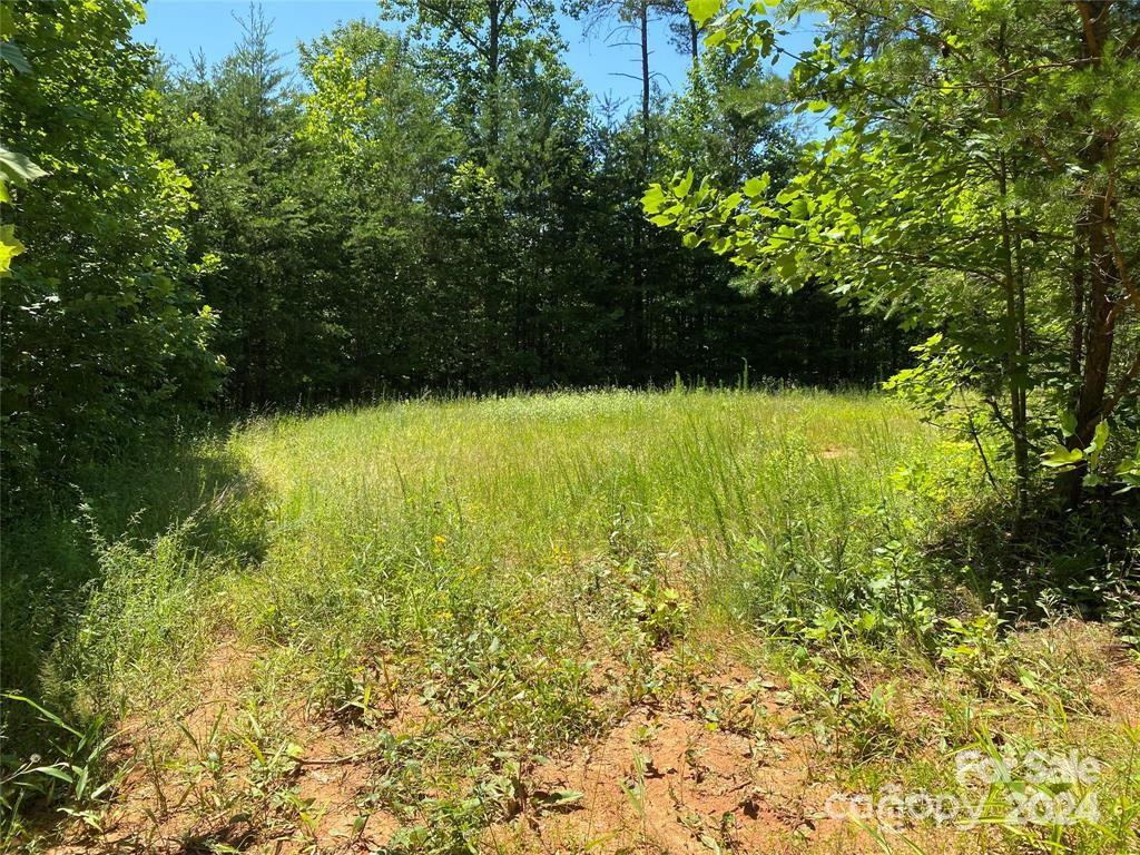 15159 Hwy 226 South