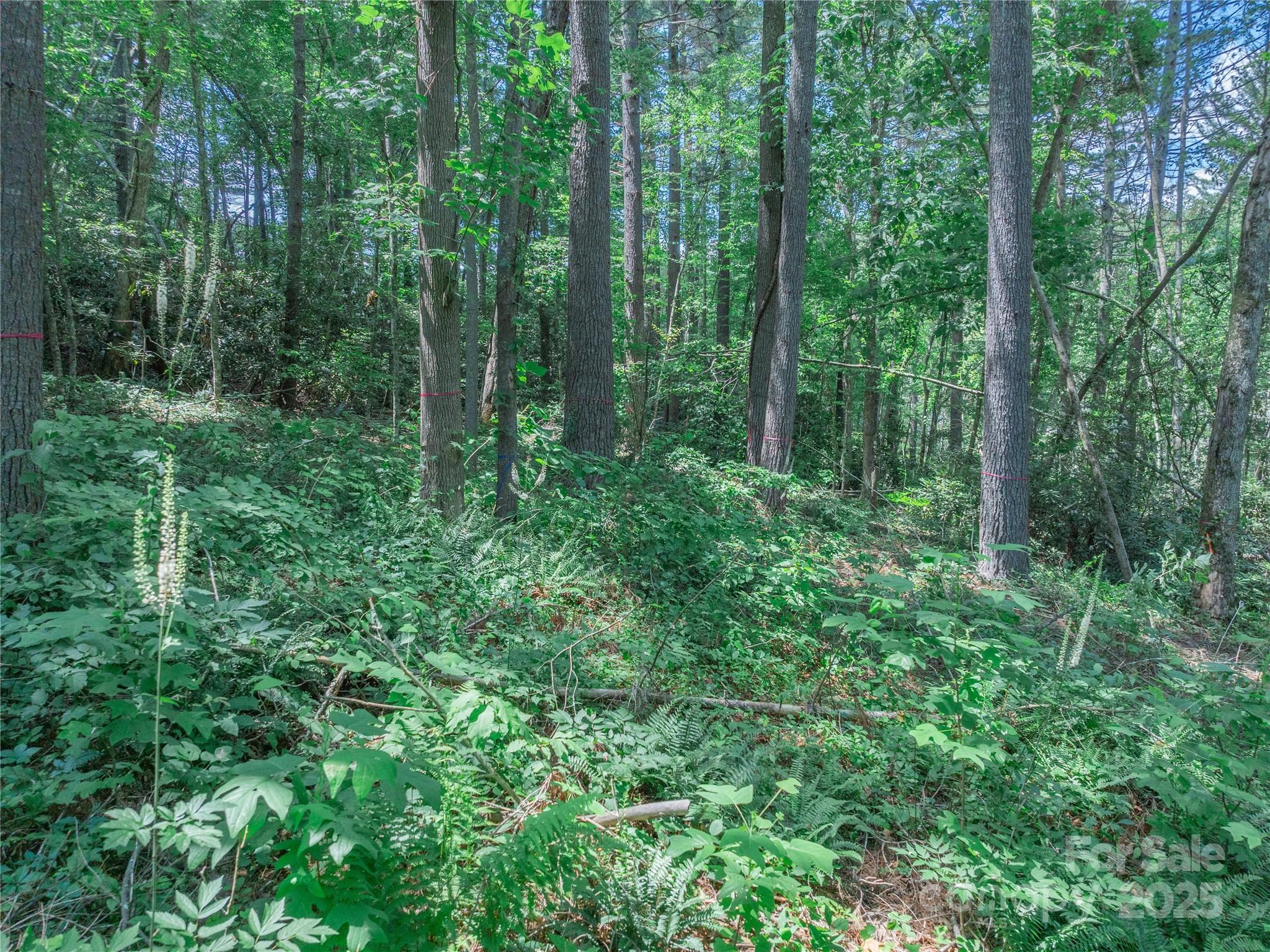 Sovereign Oaks - Land