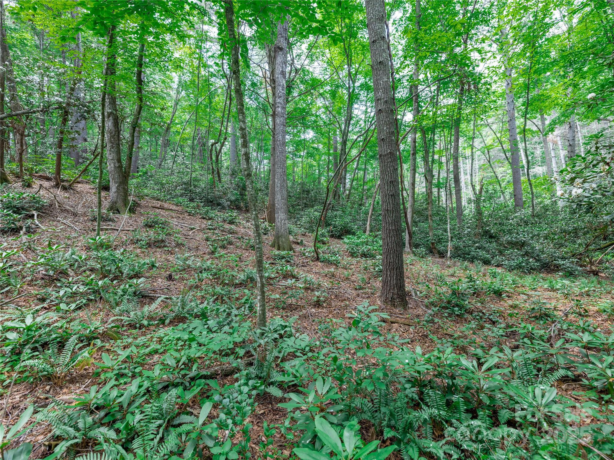 Sovereign Oaks - Land