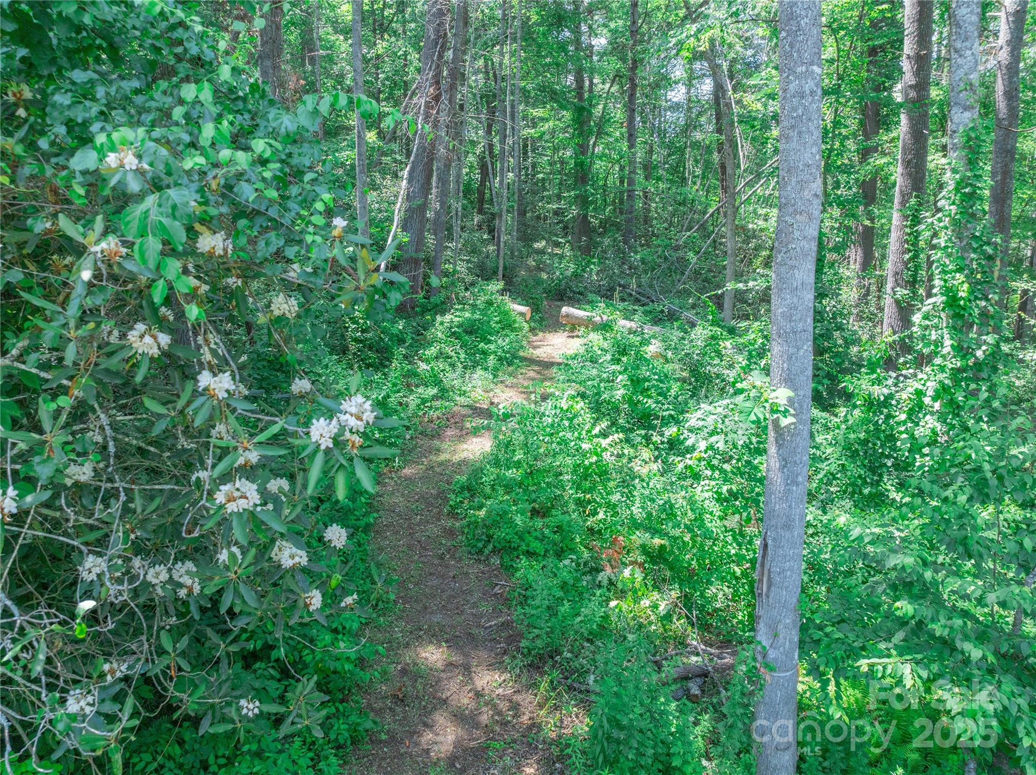 Sovereign Oaks - Land