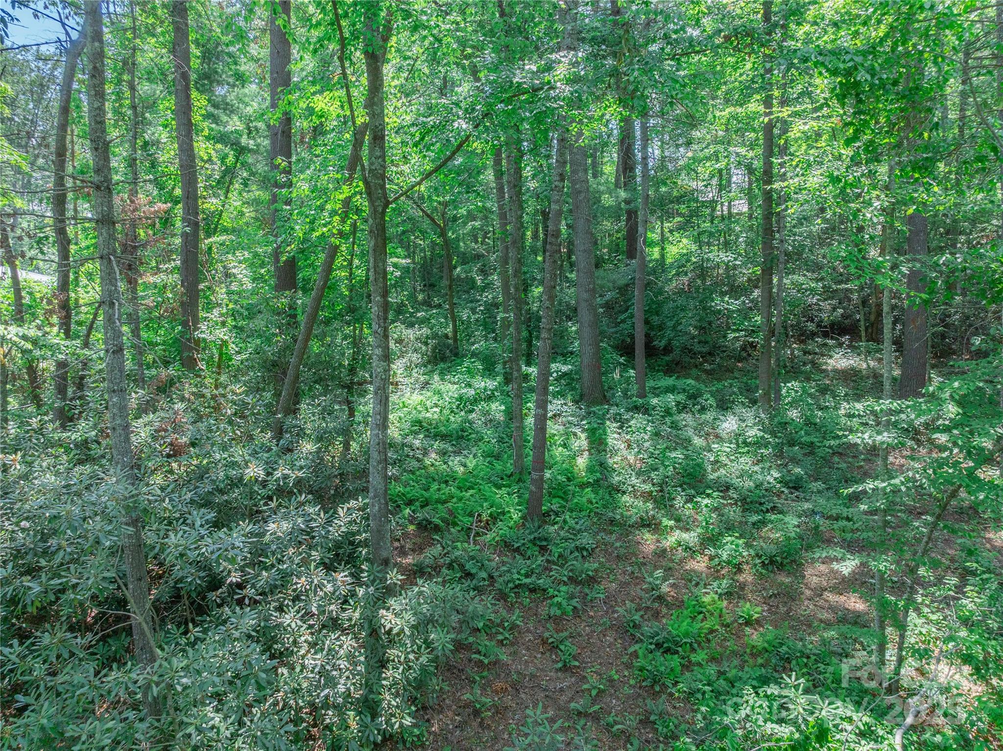 Sovereign Oaks - Land