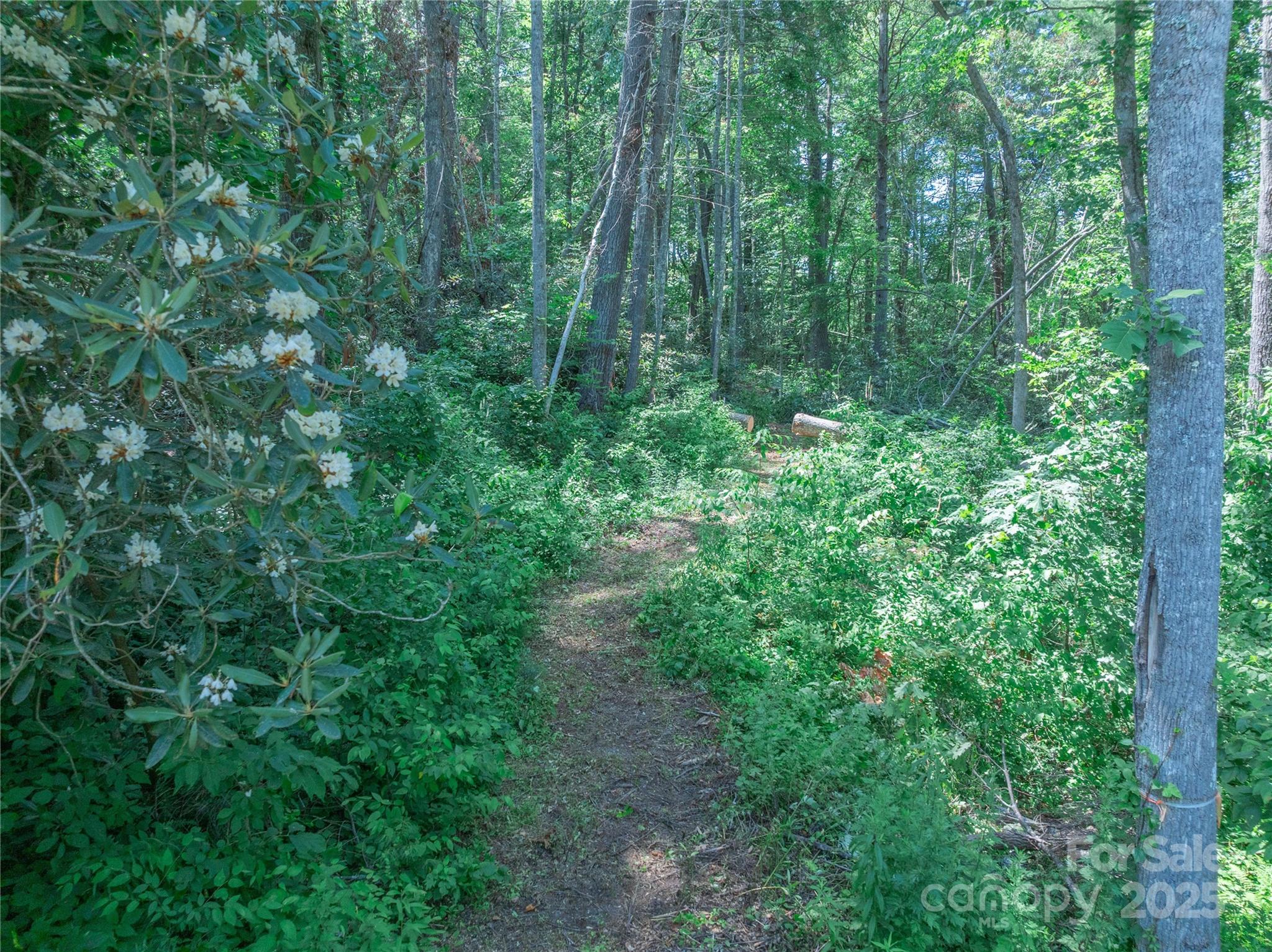 Sovereign Oaks - Land