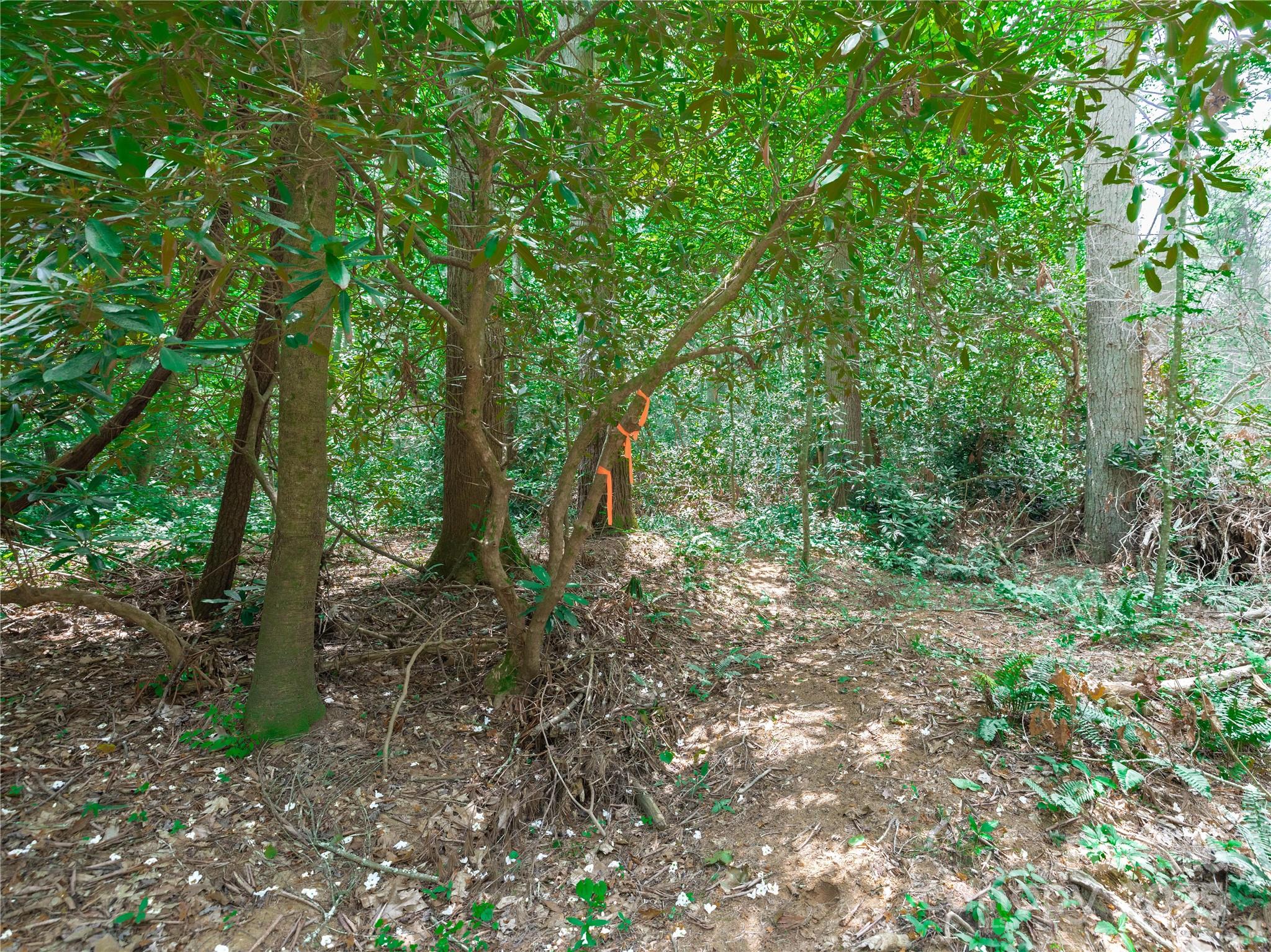 Sovereign Oaks - Land