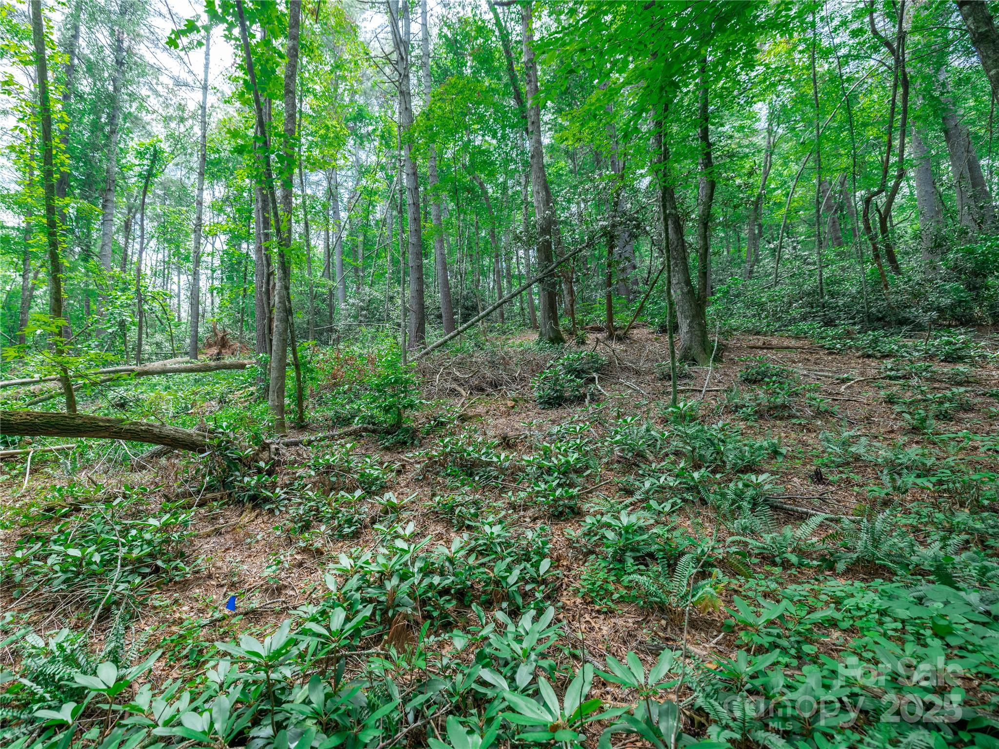 Sovereign Oaks - Land