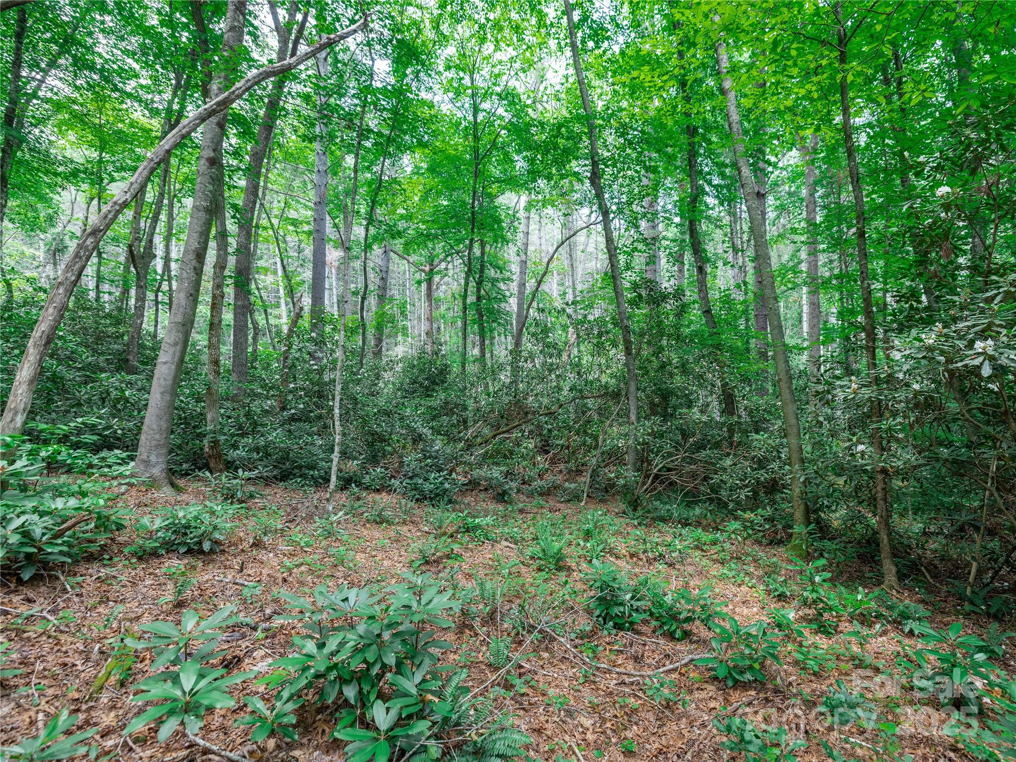 Sovereign Oaks - Land