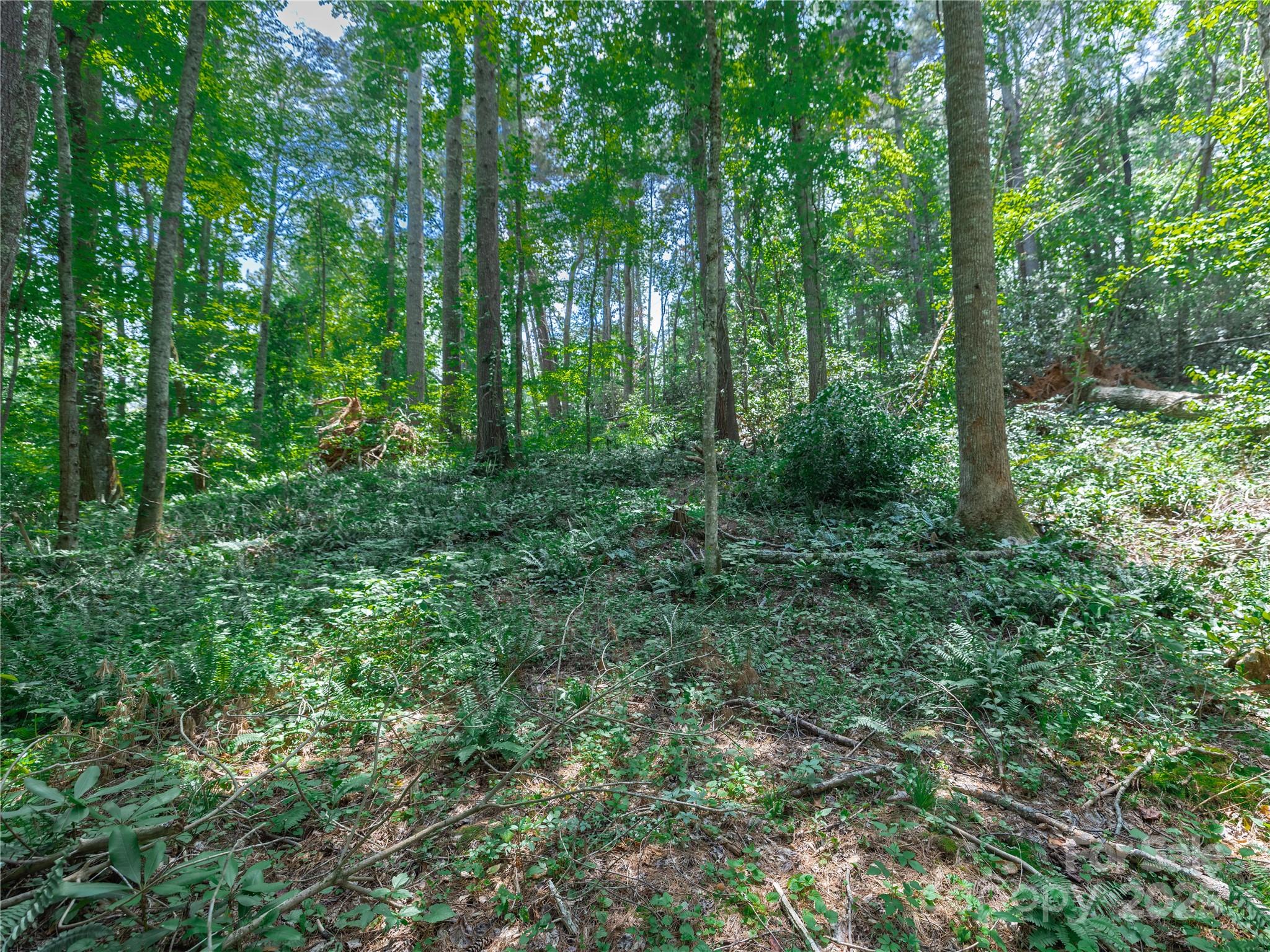 Sovereign Oaks - Land