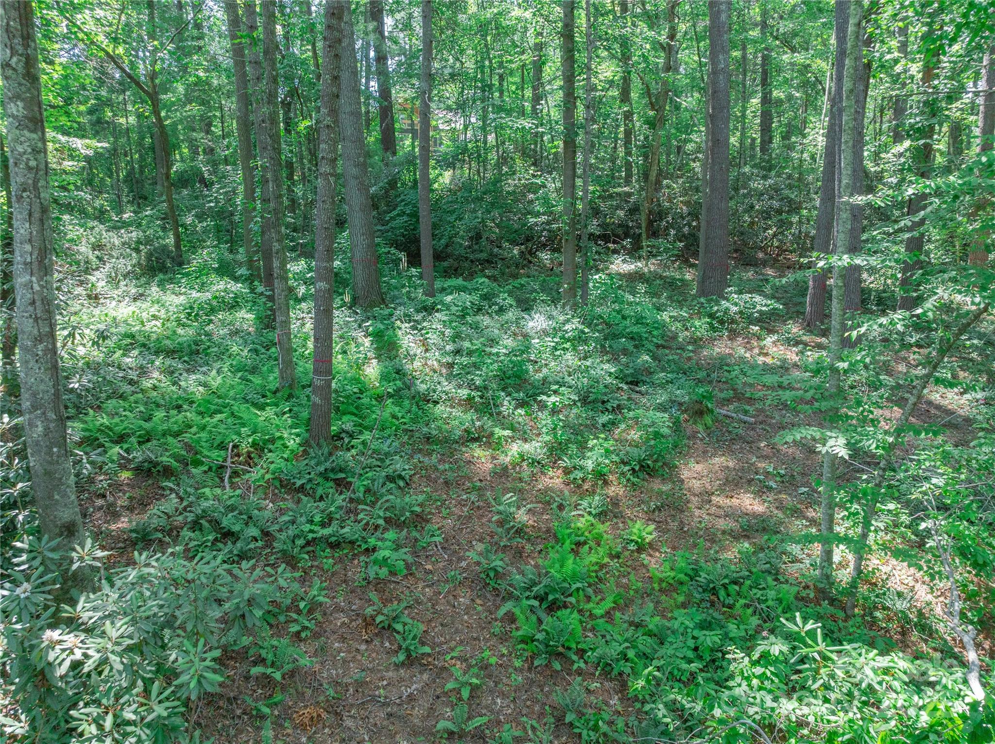 Sovereign Oaks - Land