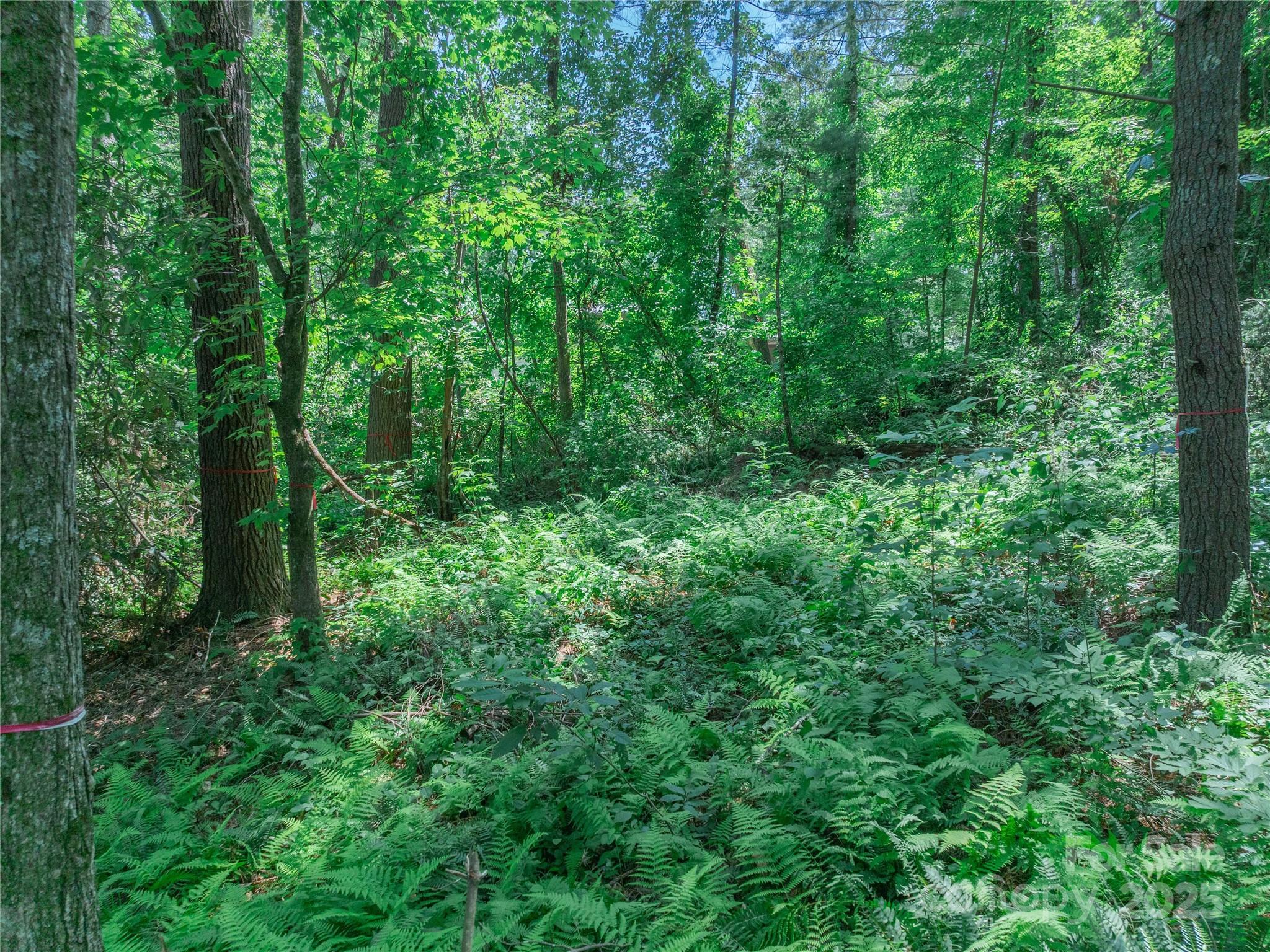 Sovereign Oaks - Land